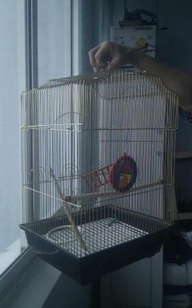 IMAG0209-1.jpg