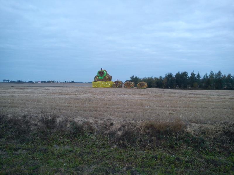 DSC00001_2.jpg