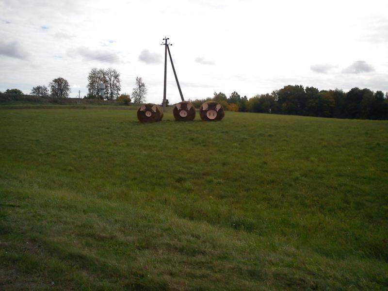 DSC00003_3.jpg