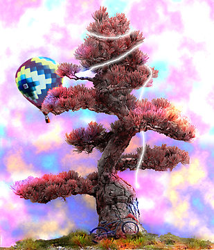 Fly_Away._by_B_C.jpg