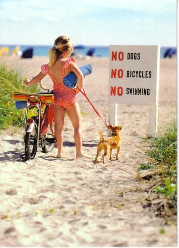 beachkidsignrandomsummerbaby-f26fb6094b284177d349c2b5881629fe_h.jpg