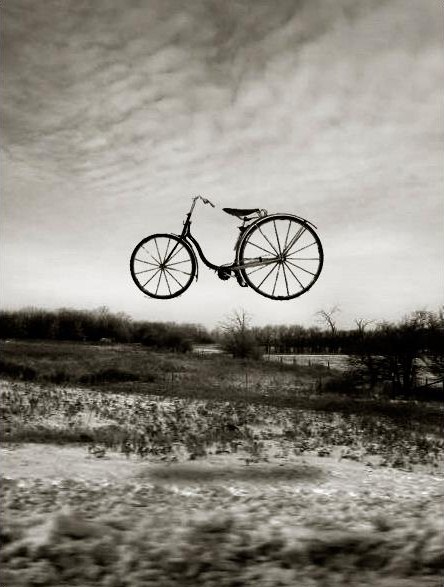 Bike_By_Auto_Da_Fe.jpg