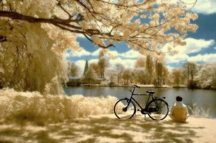 1284713345_bike6.jpg