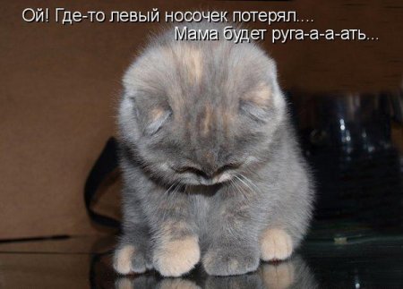 1286739648_01.jpg