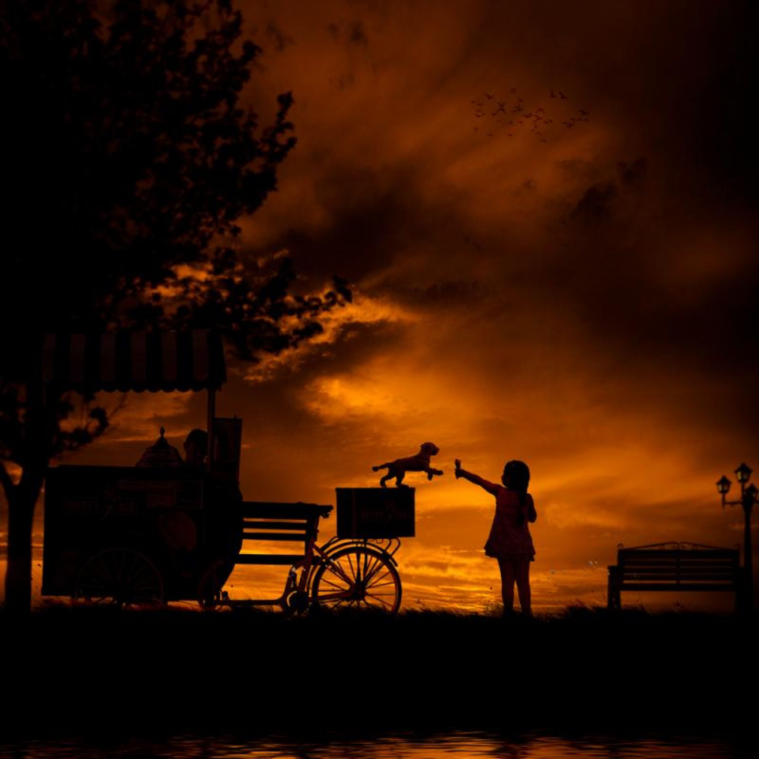 Caras_Ionut-ice_cream.jpg