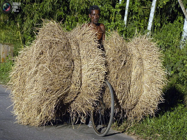 overloaded_024.jpg