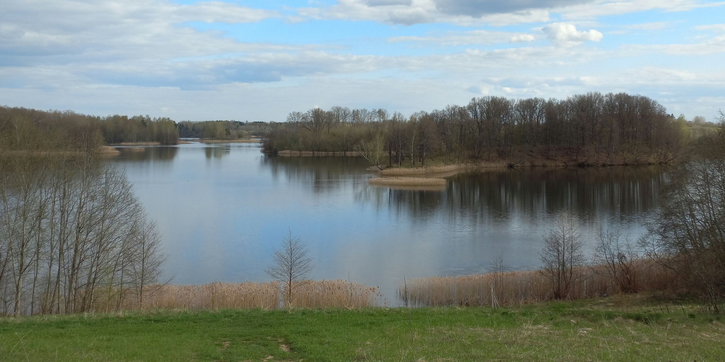 20250315_124630.jpg