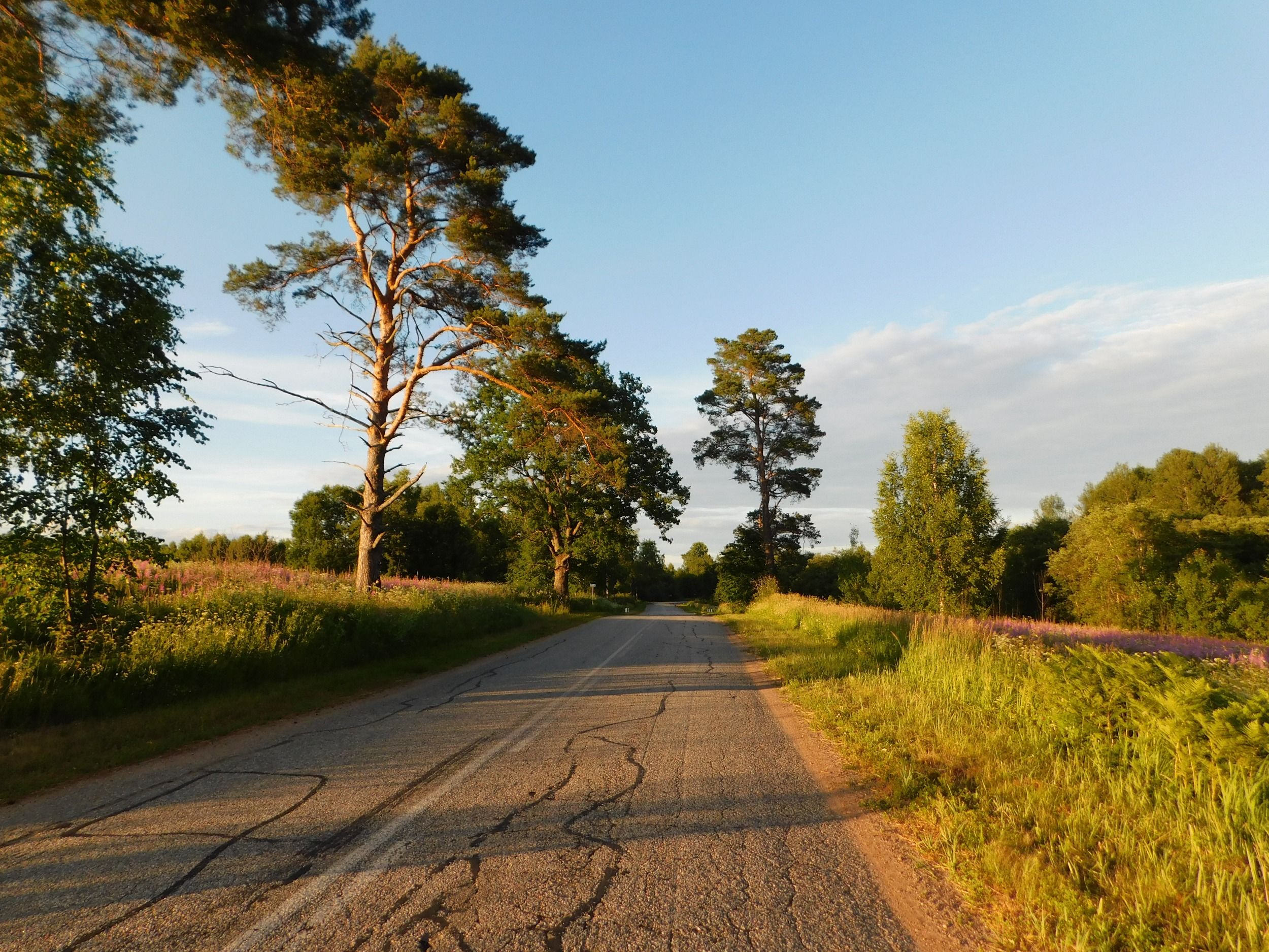 DSCN5092.JPG