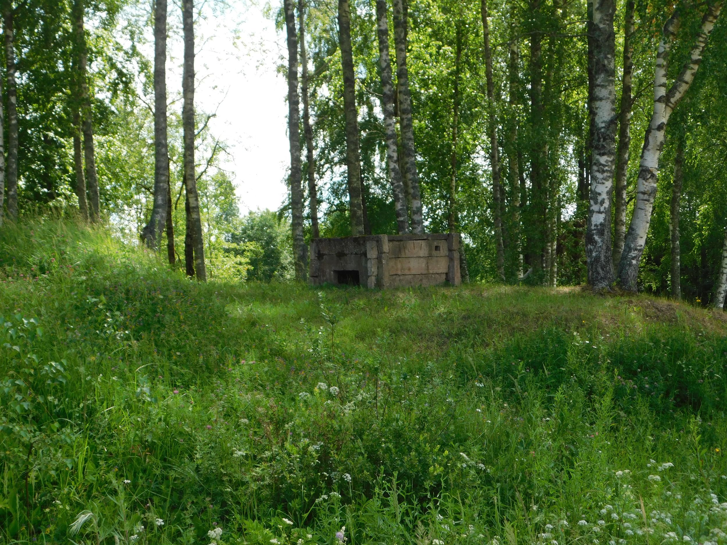 DSCN5102.JPG