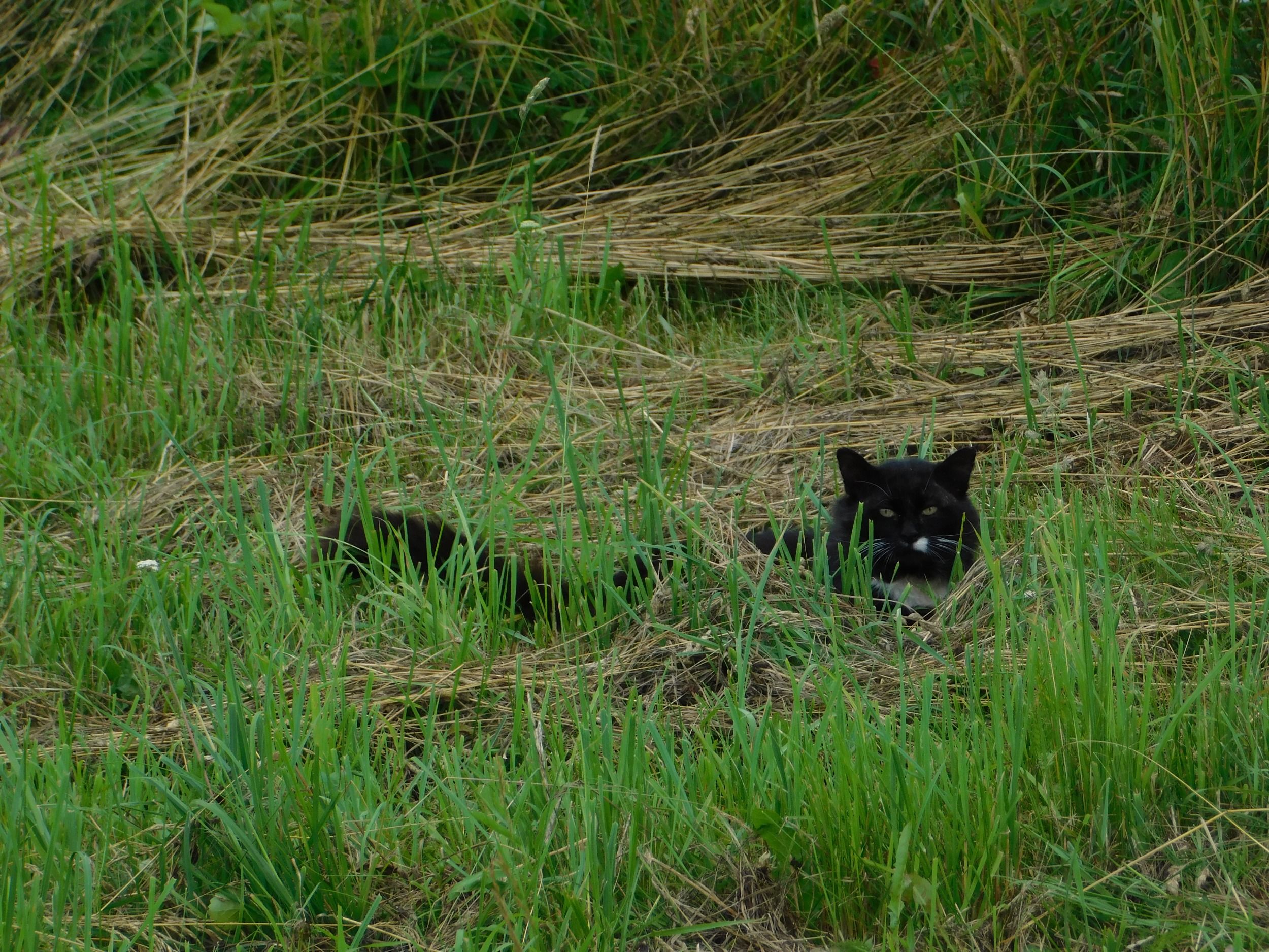 DSCN5106.JPG