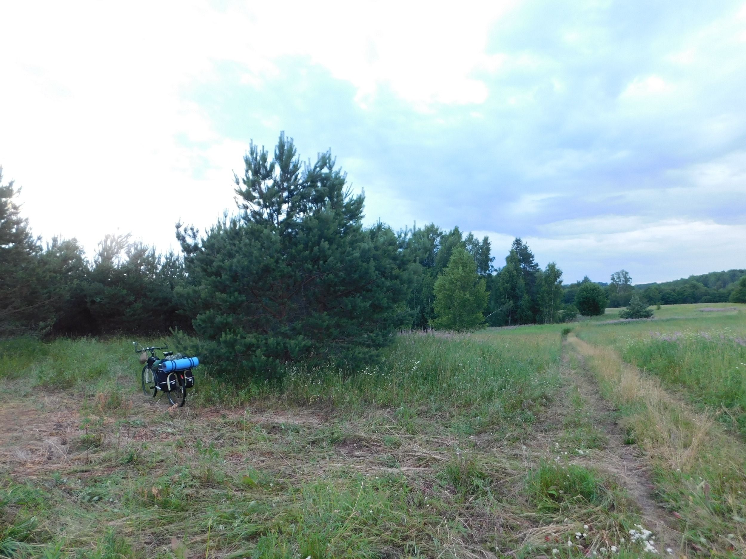 DSCN5116.JPG