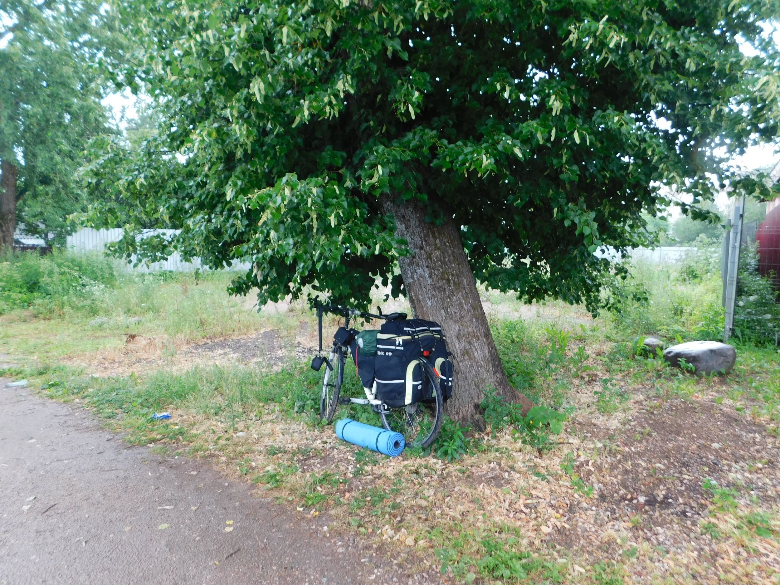 DSCN5129.JPG