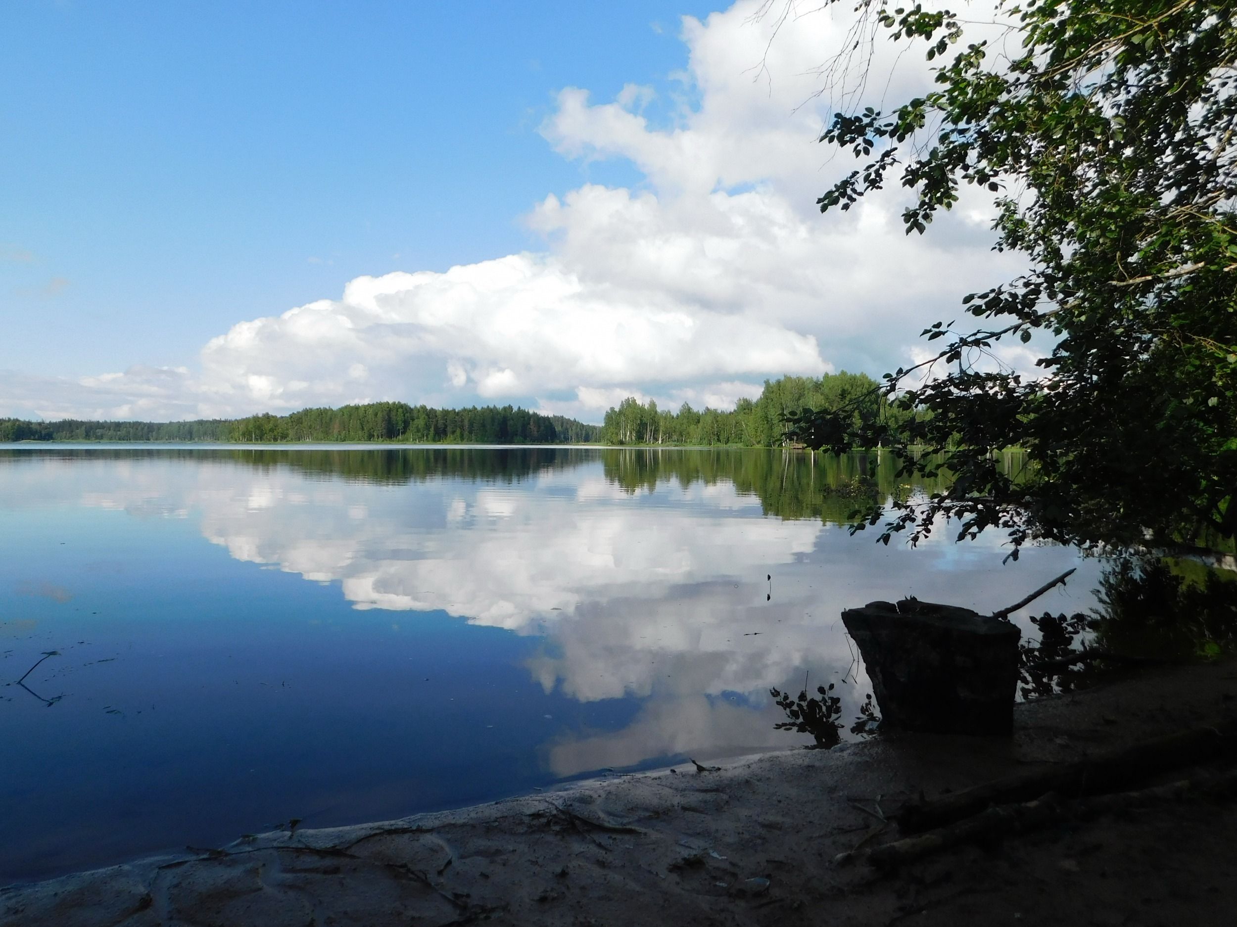 DSCN5148.jpg