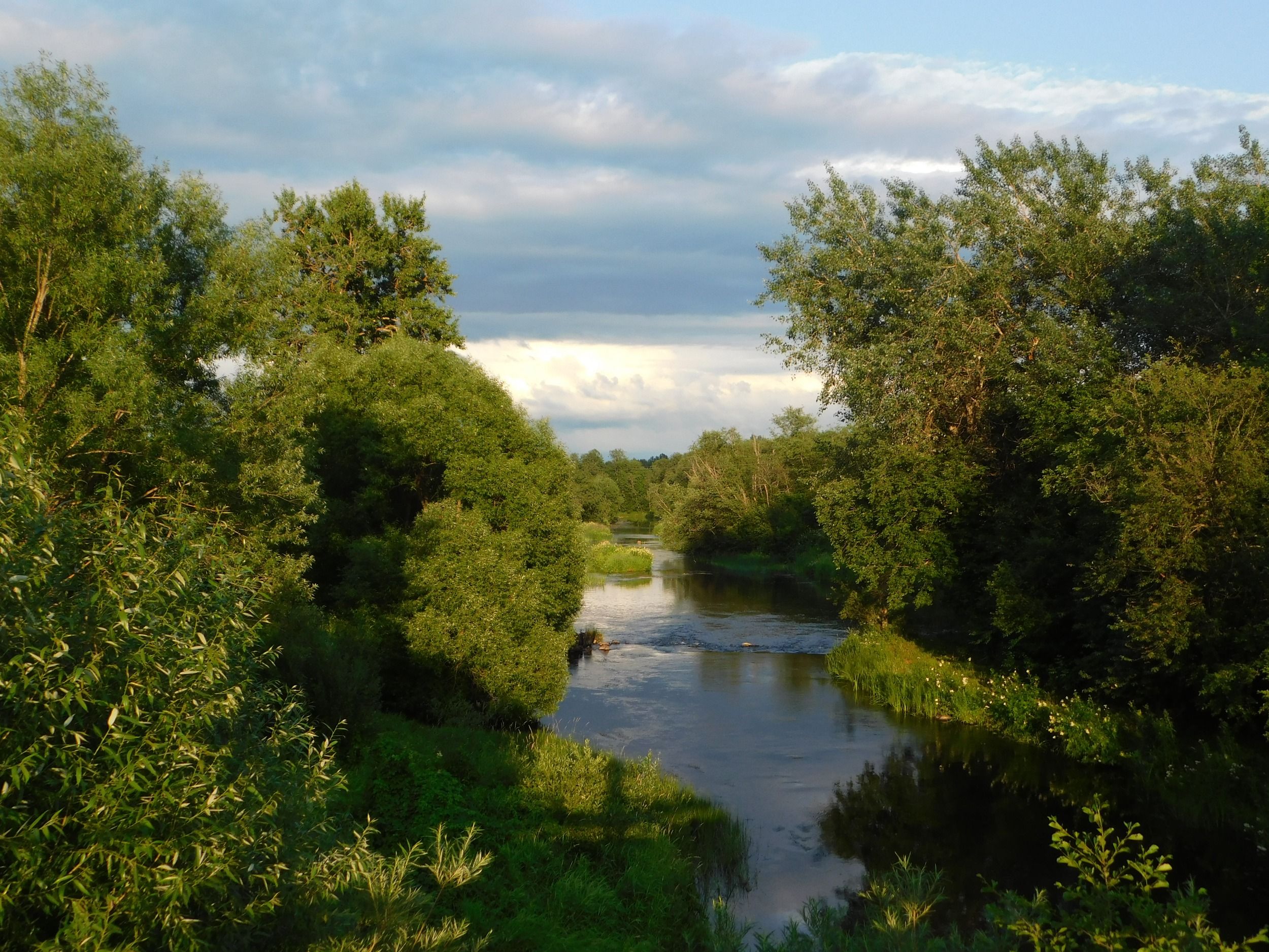 DSCN5154.JPG