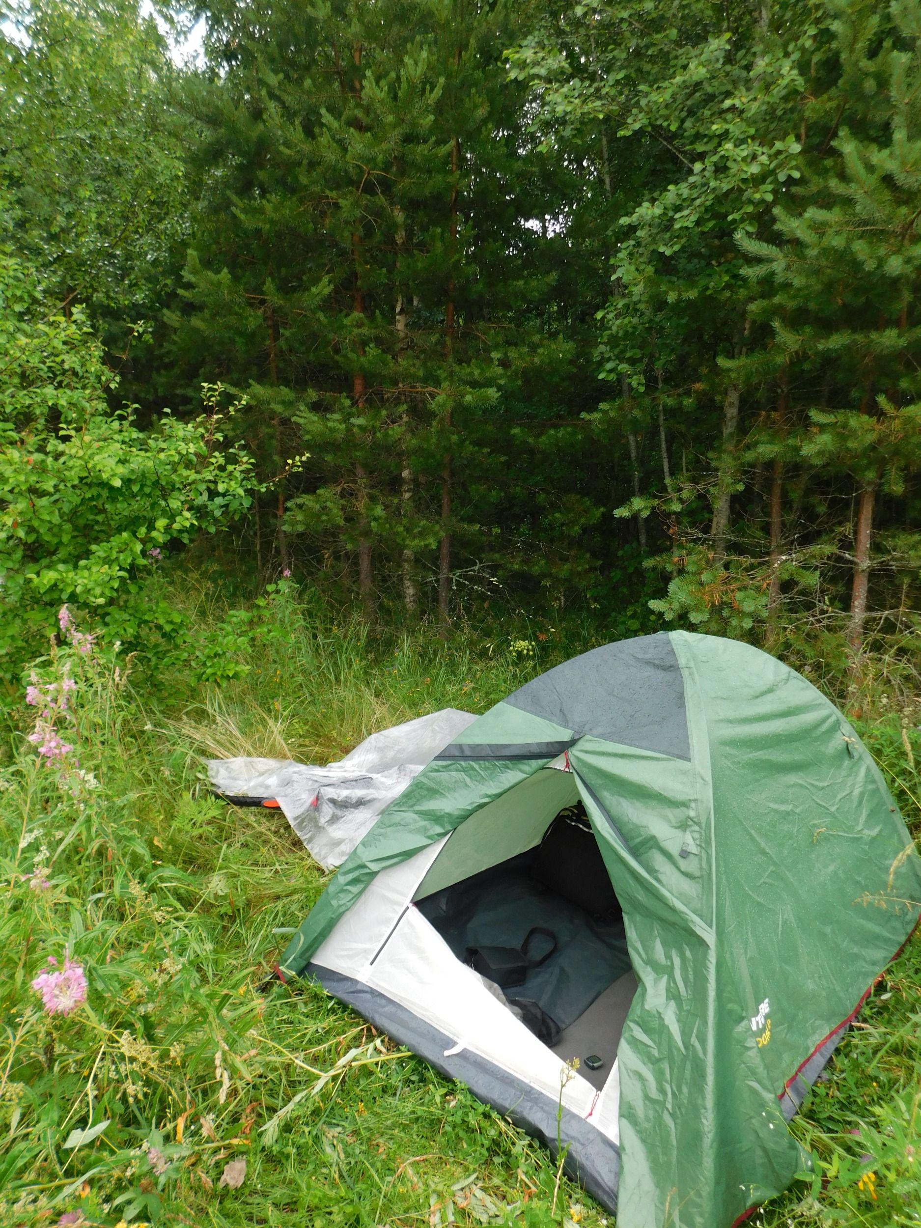 DSCN5161.jpg