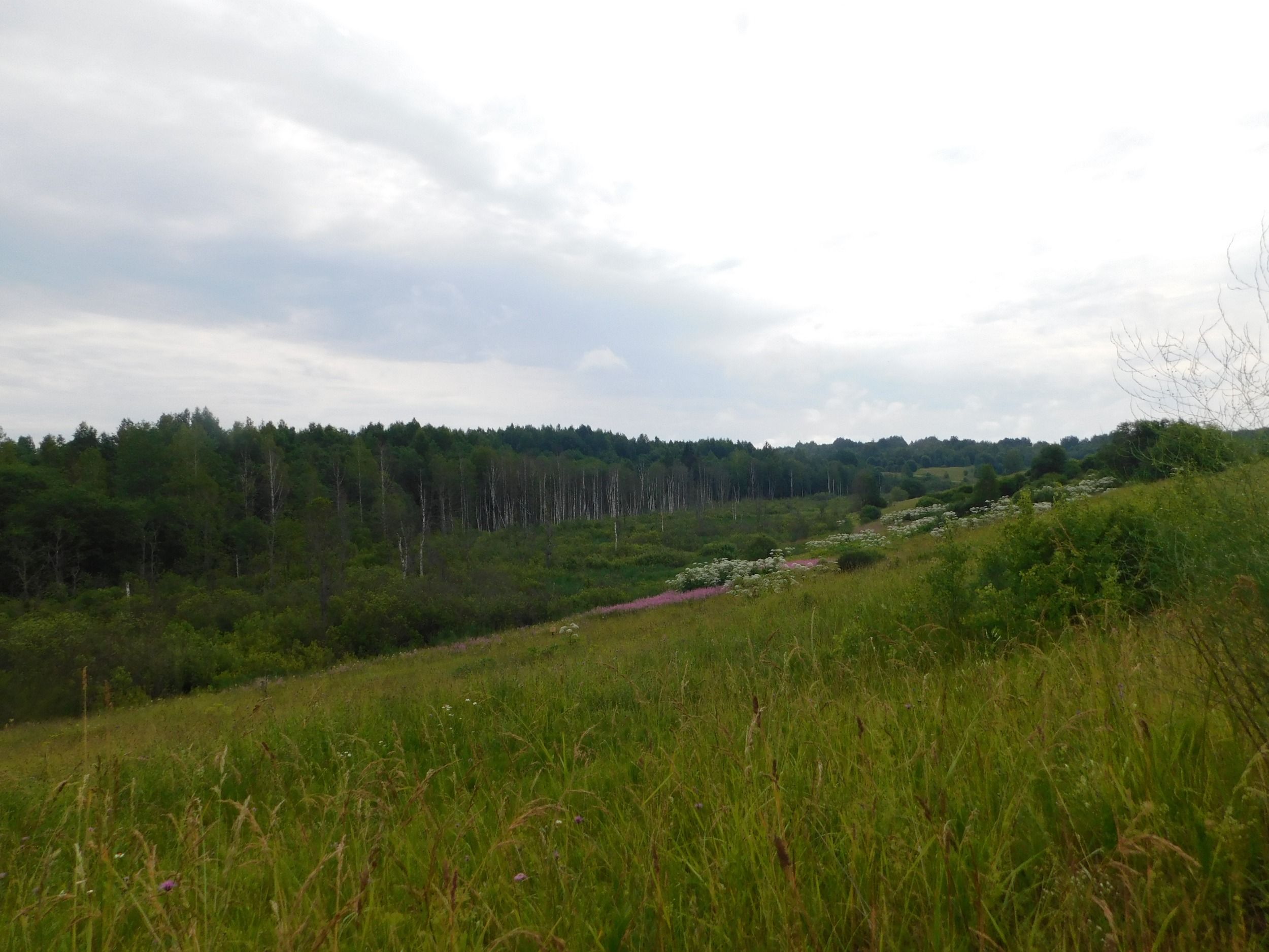 DSCN5165.JPG