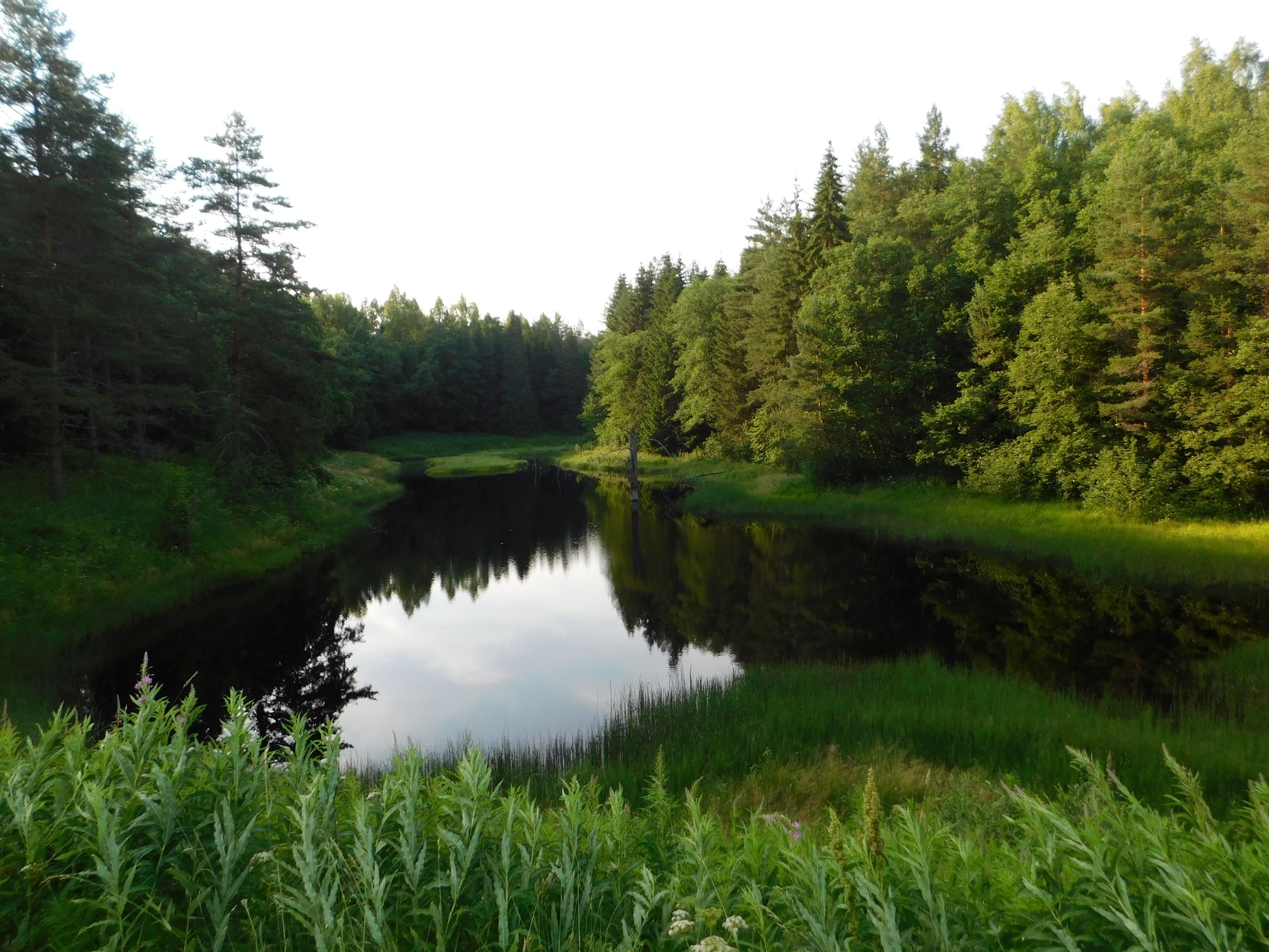 DSCN5205.JPG