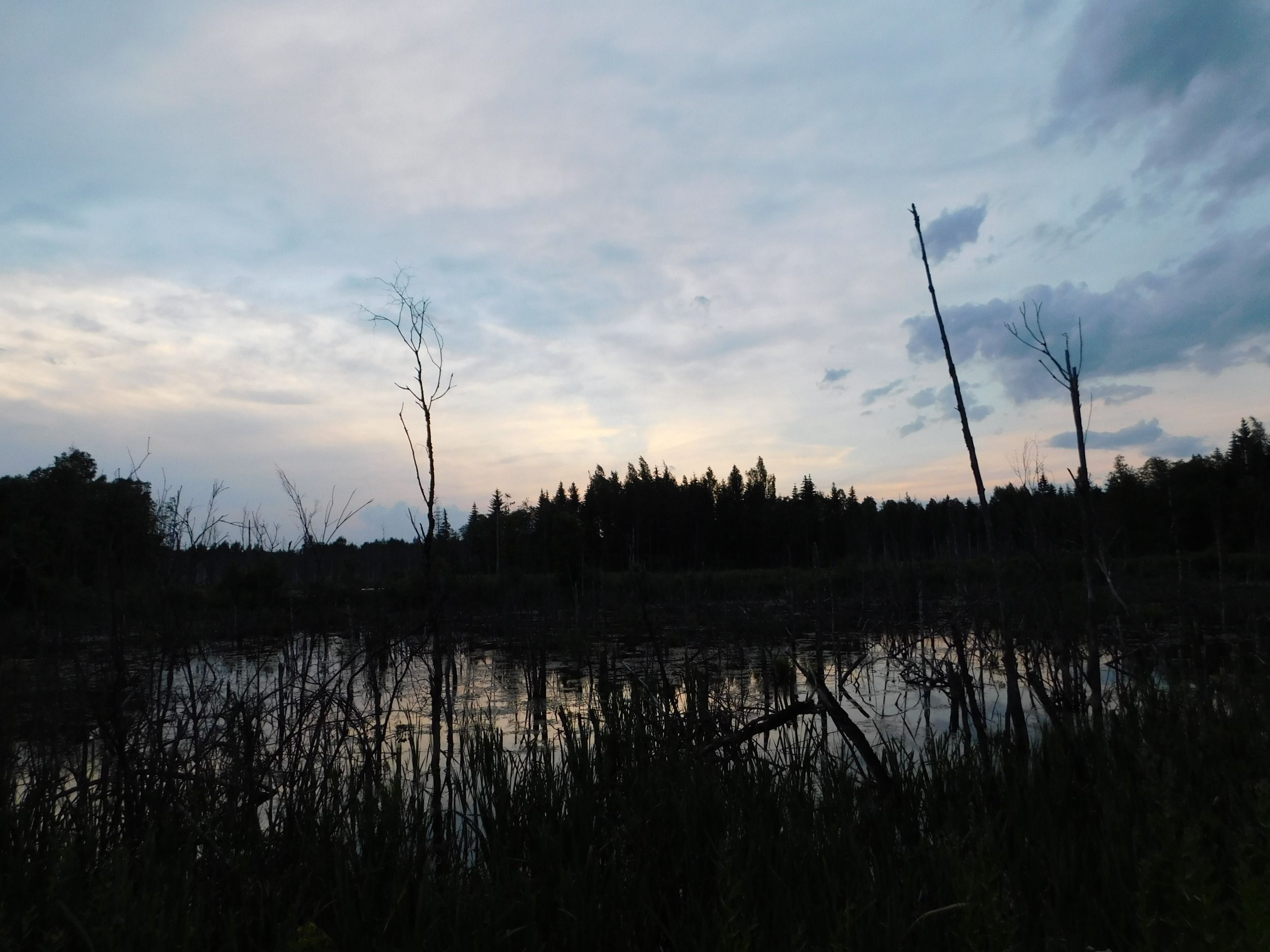 DSCN5207.JPG