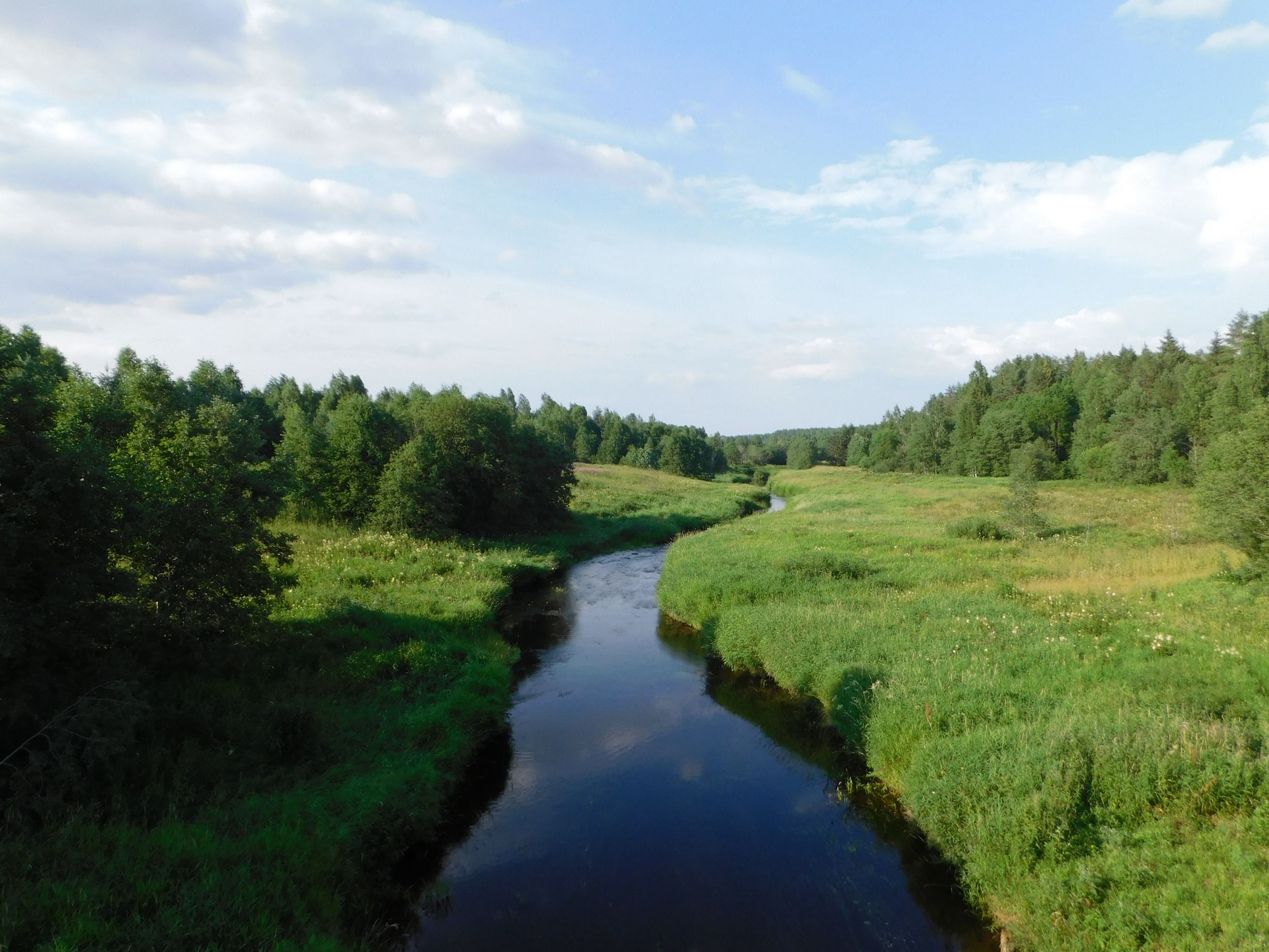 DSCN5224.JPG