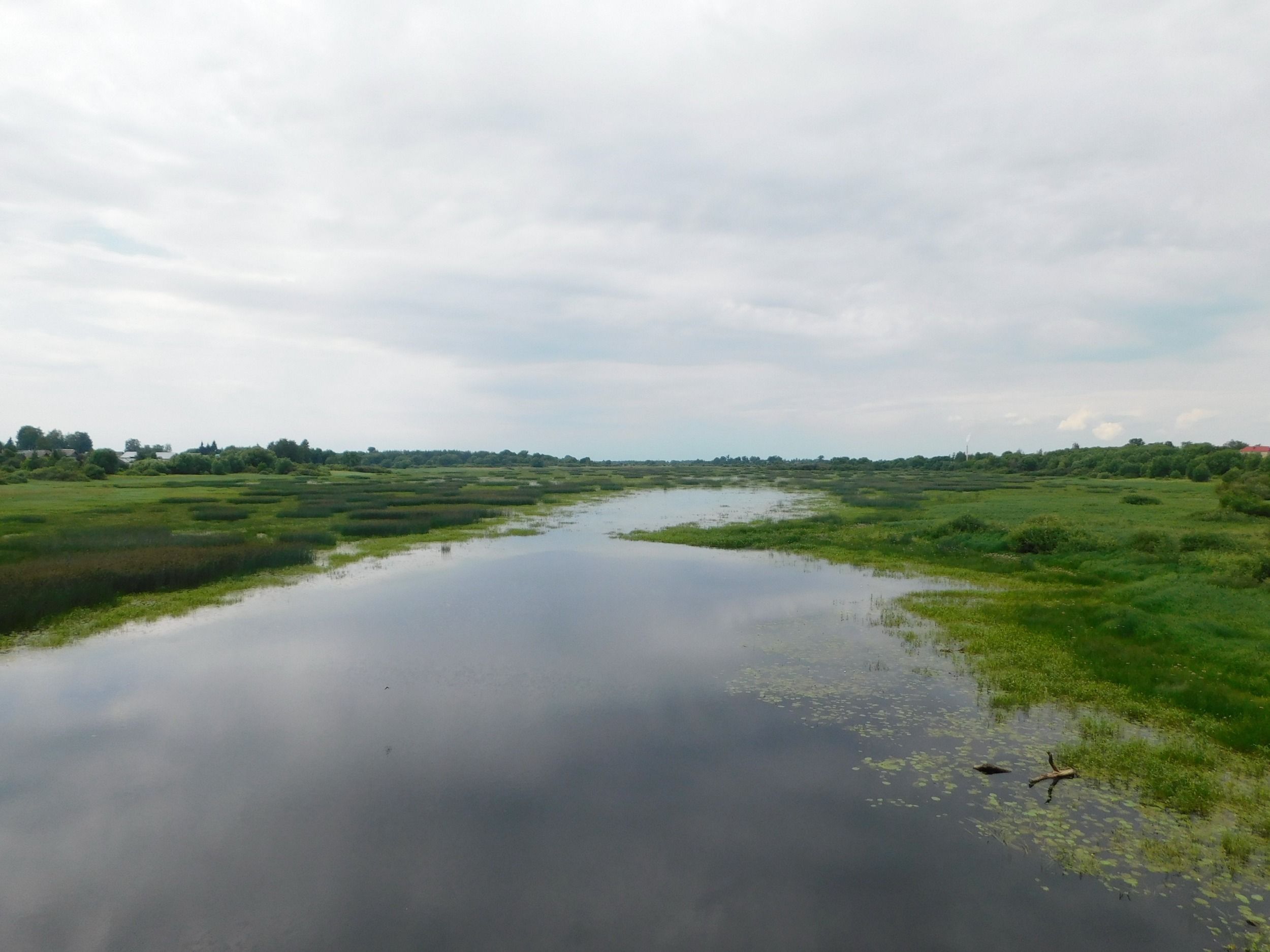 DSCN5406.jpg