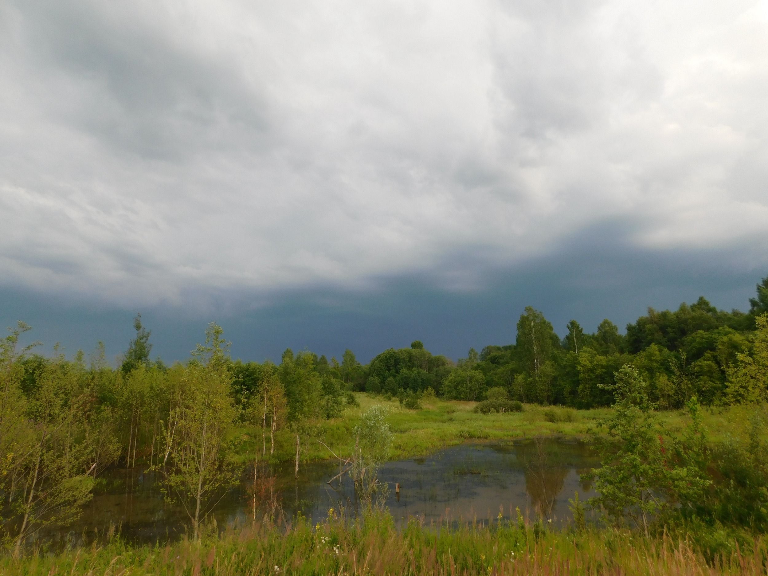DSCN5412.JPG