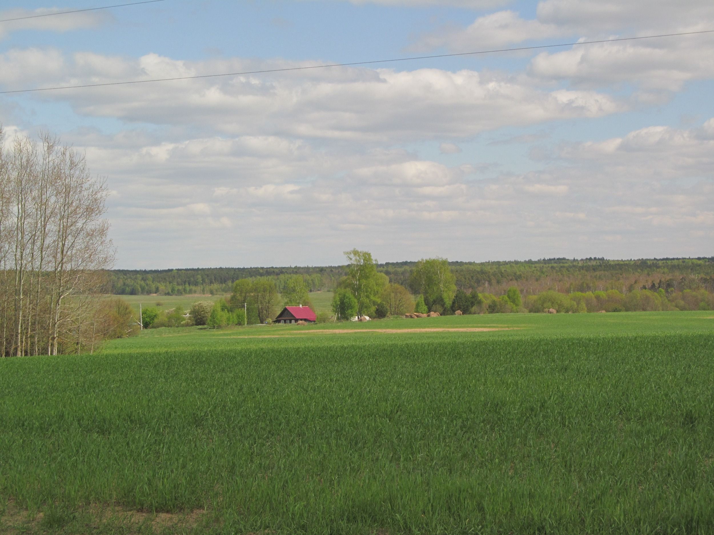 IMG_1512.JPG
