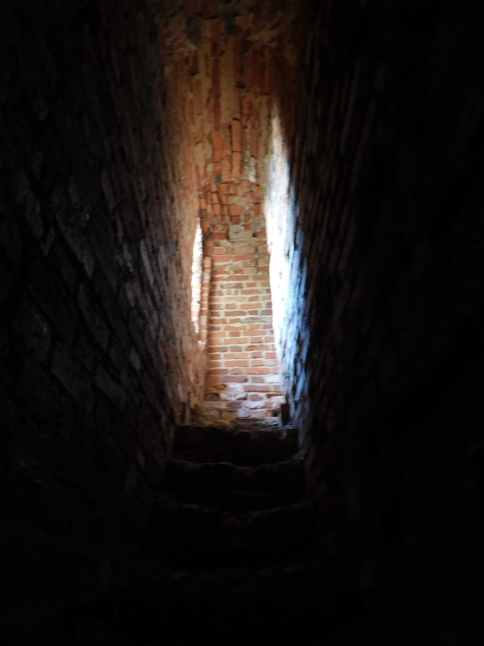 DSCN7118.jpg