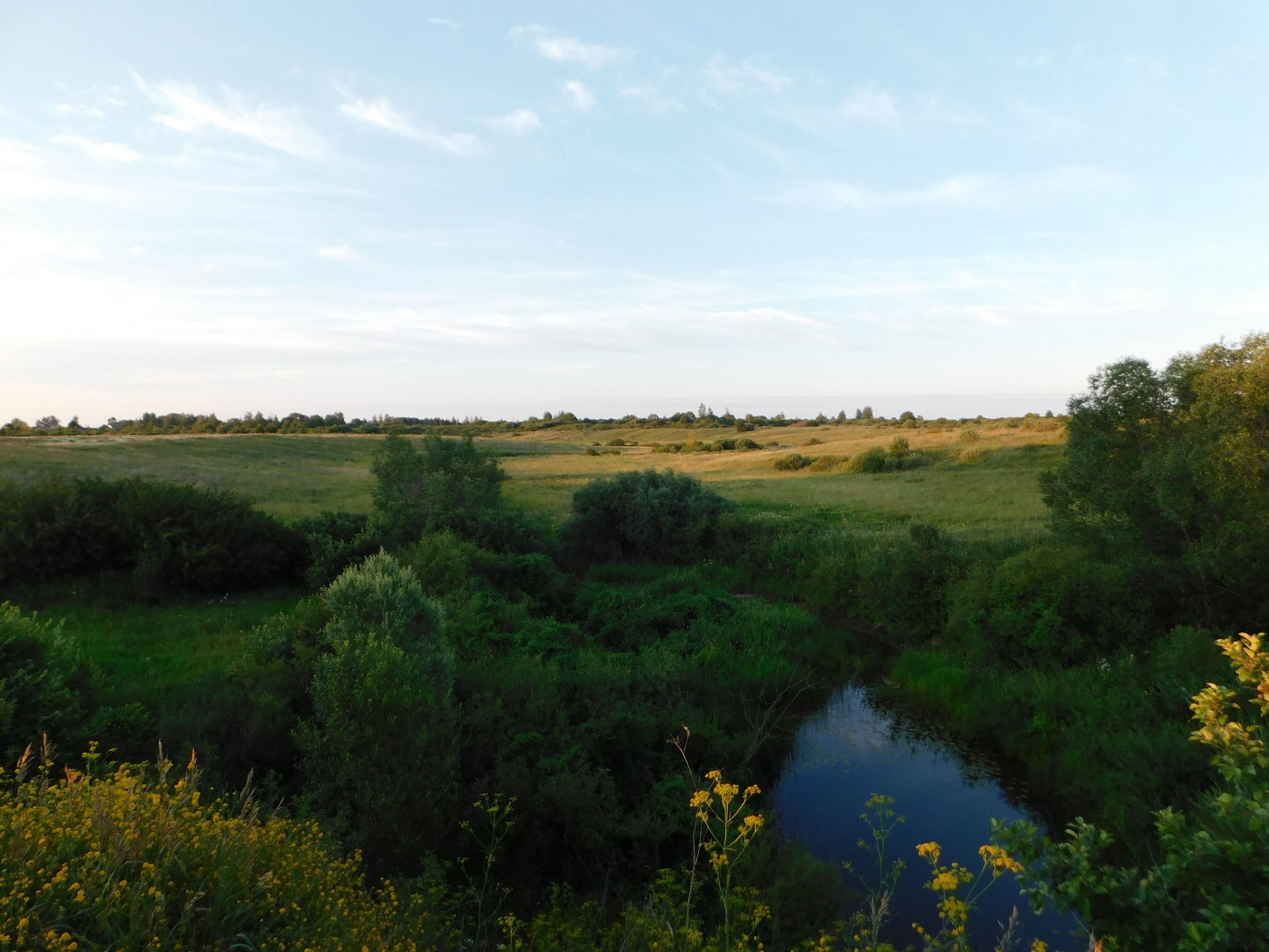 DSCN7122.JPG