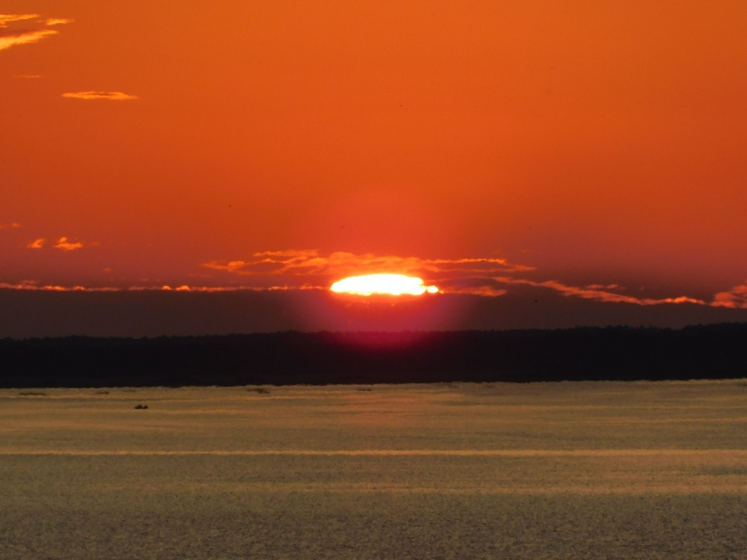 DSCN7156.JPG