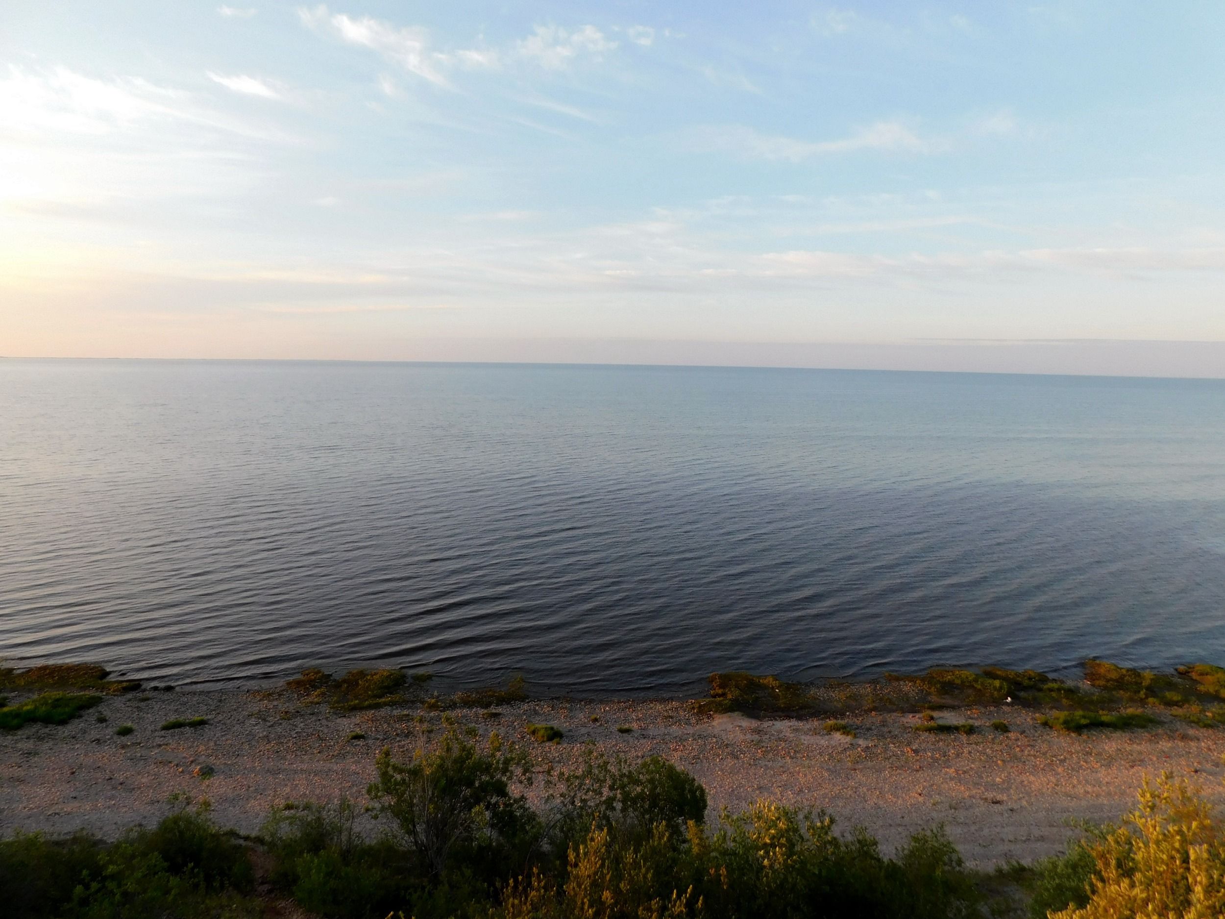 DSCN7132.jpg