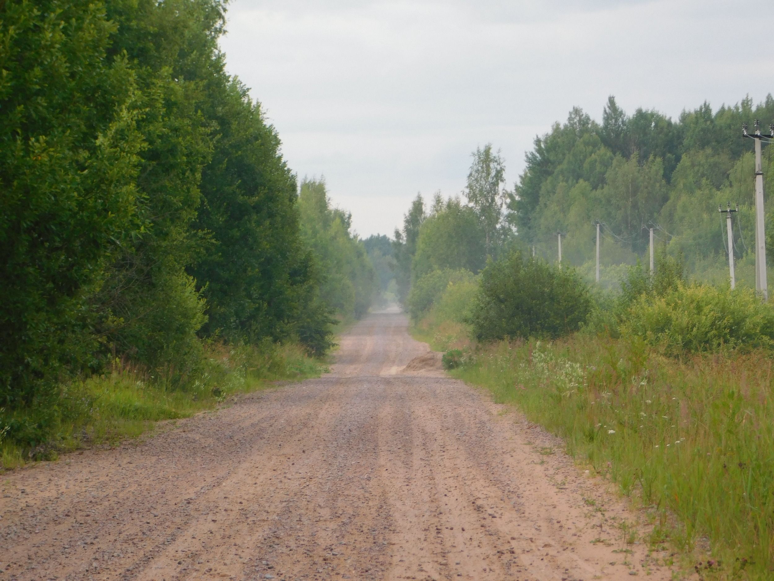 DSCN7240.JPG