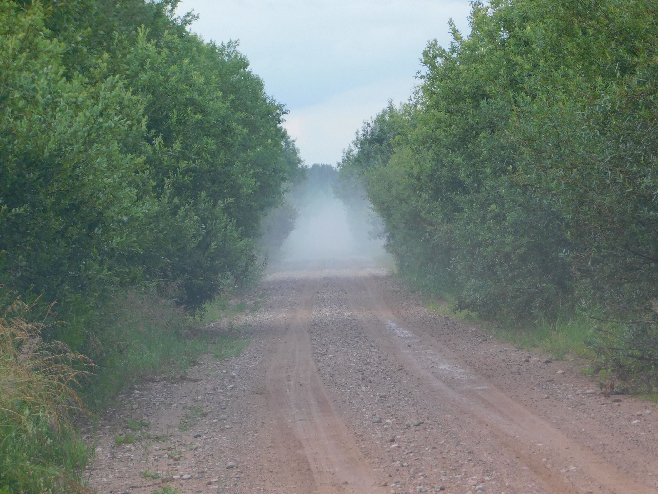 DSCN7243.JPG