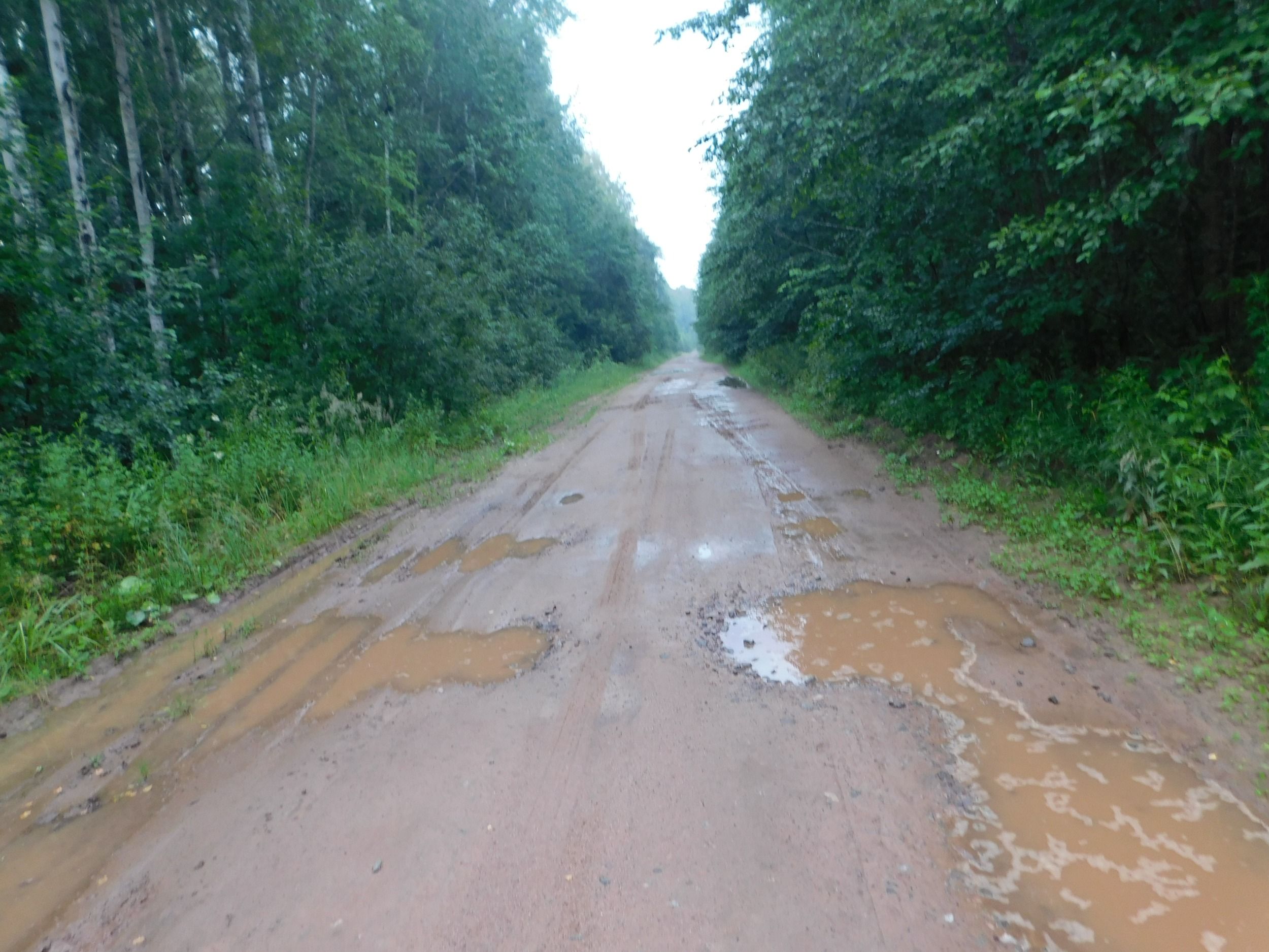 DSCN7244.JPG