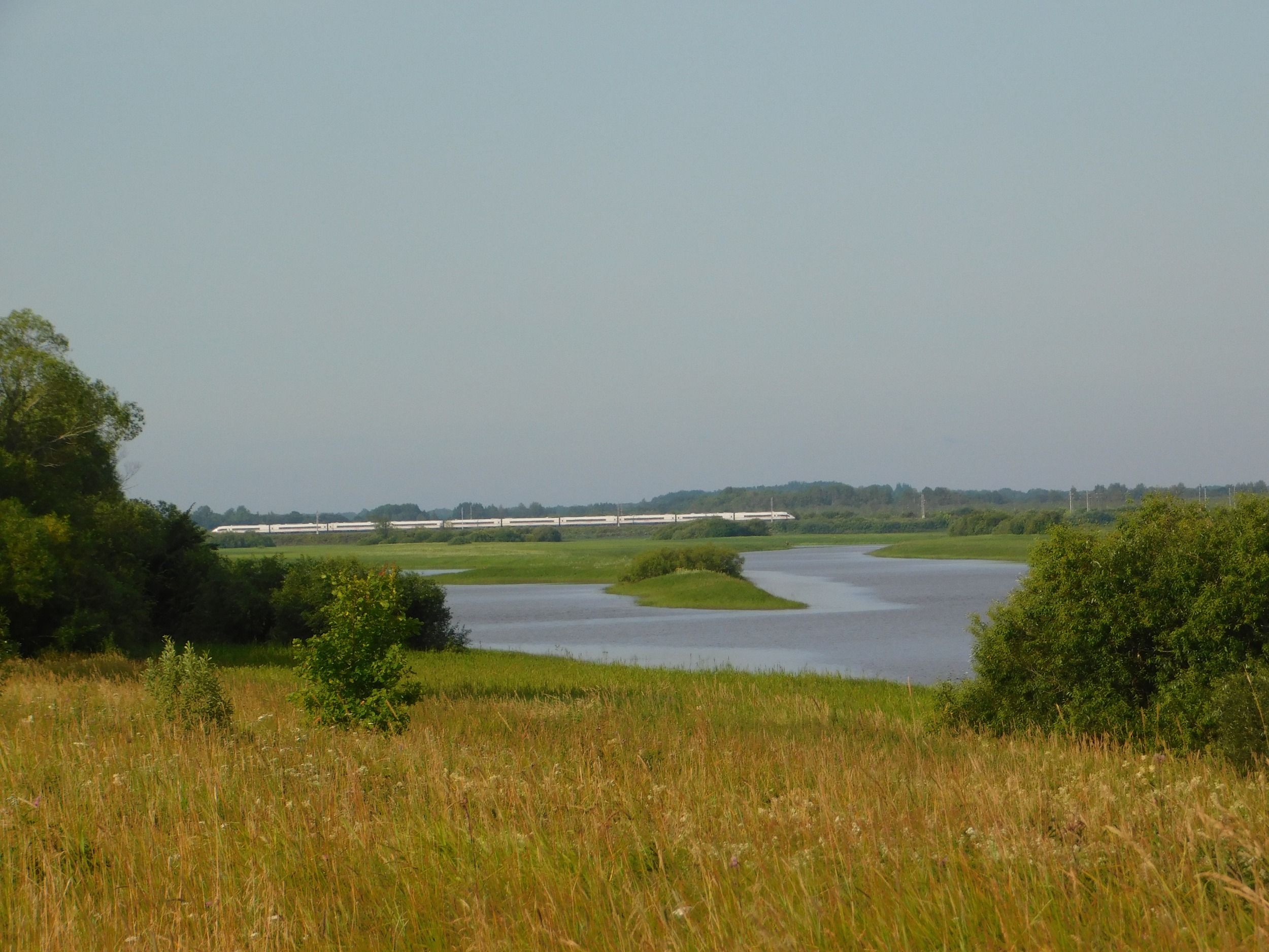 DSCN7247.JPG