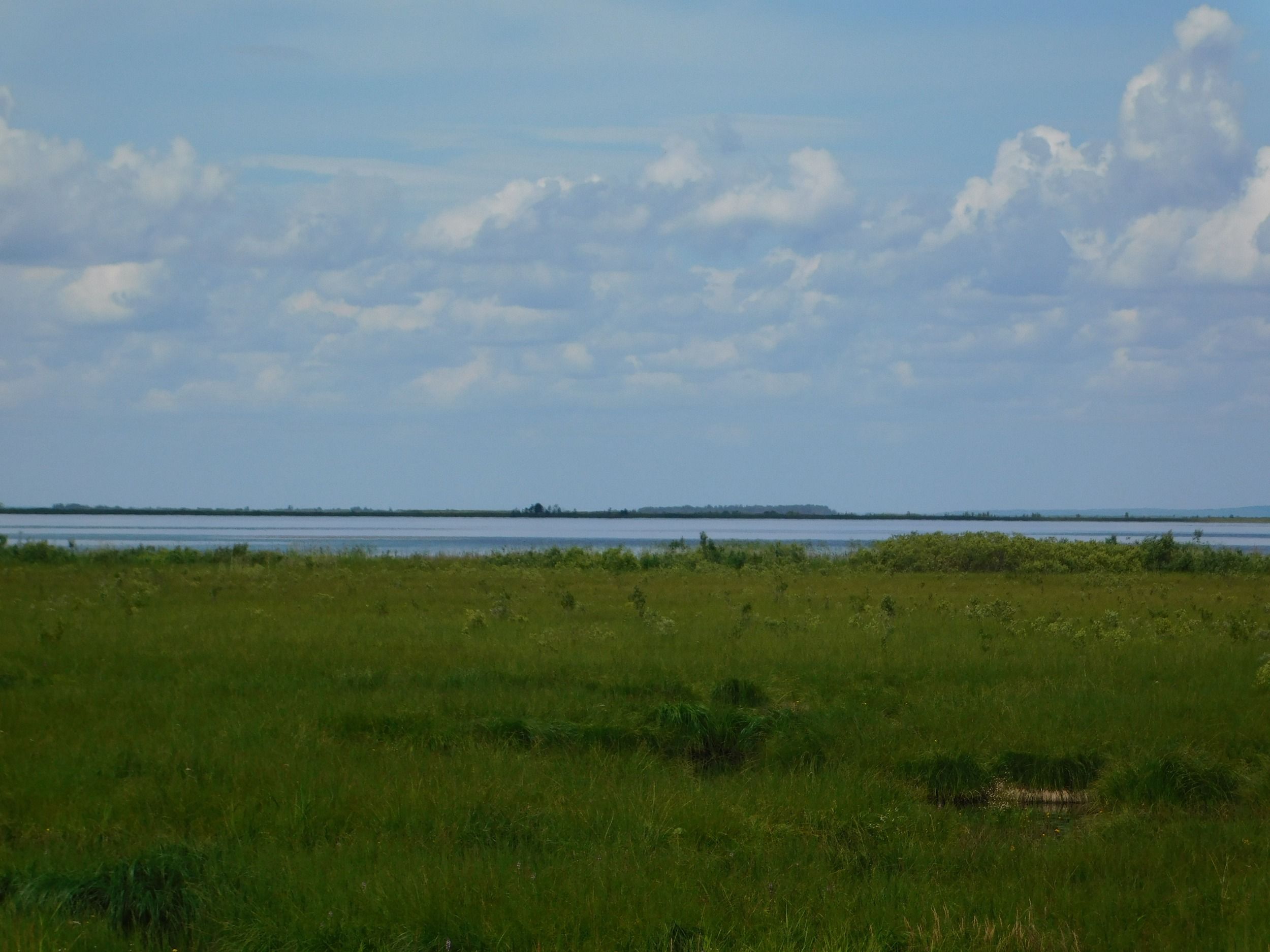 DSCN7343.JPG
