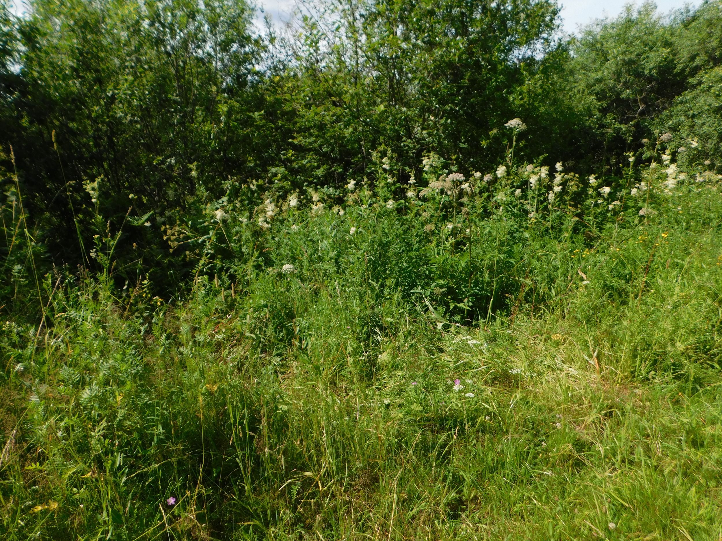 DSCN7350.JPG