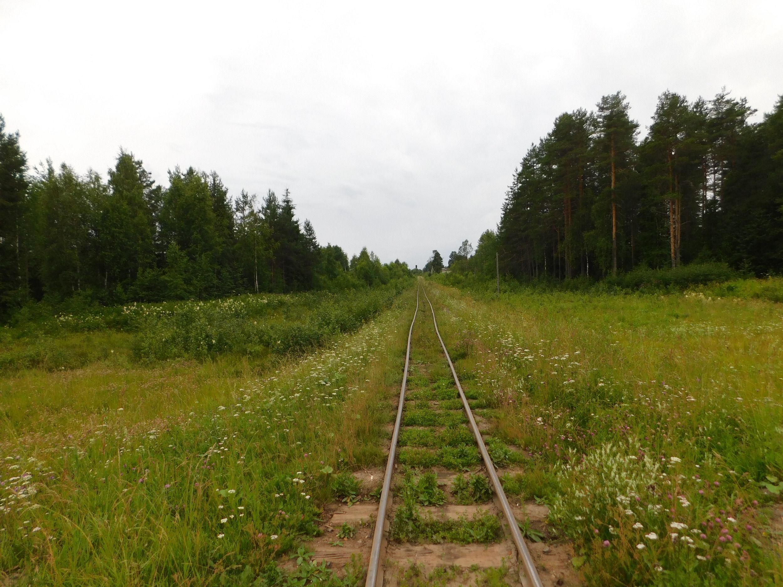 DSCN7390.JPG