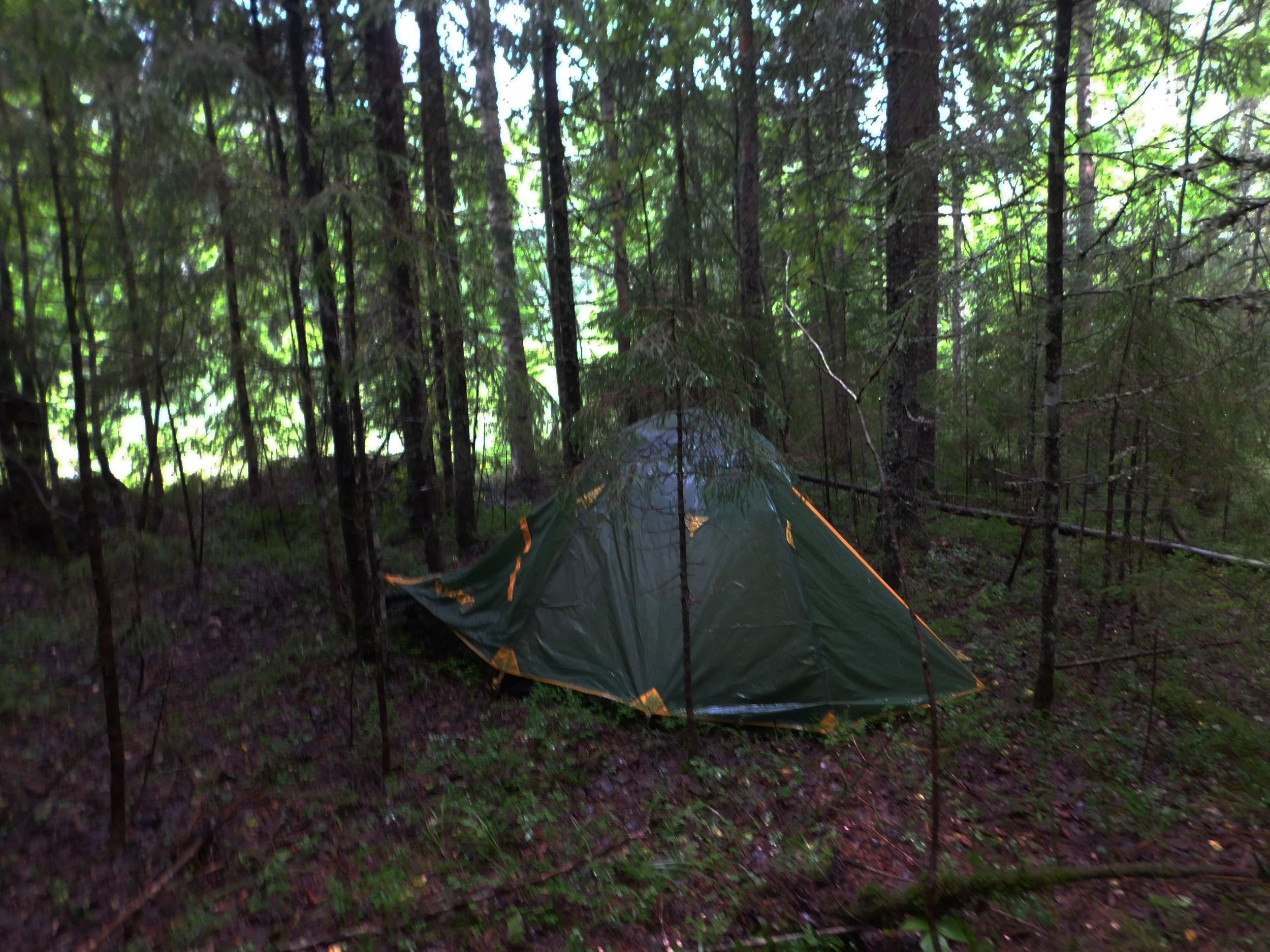 DSCN7395.jpg