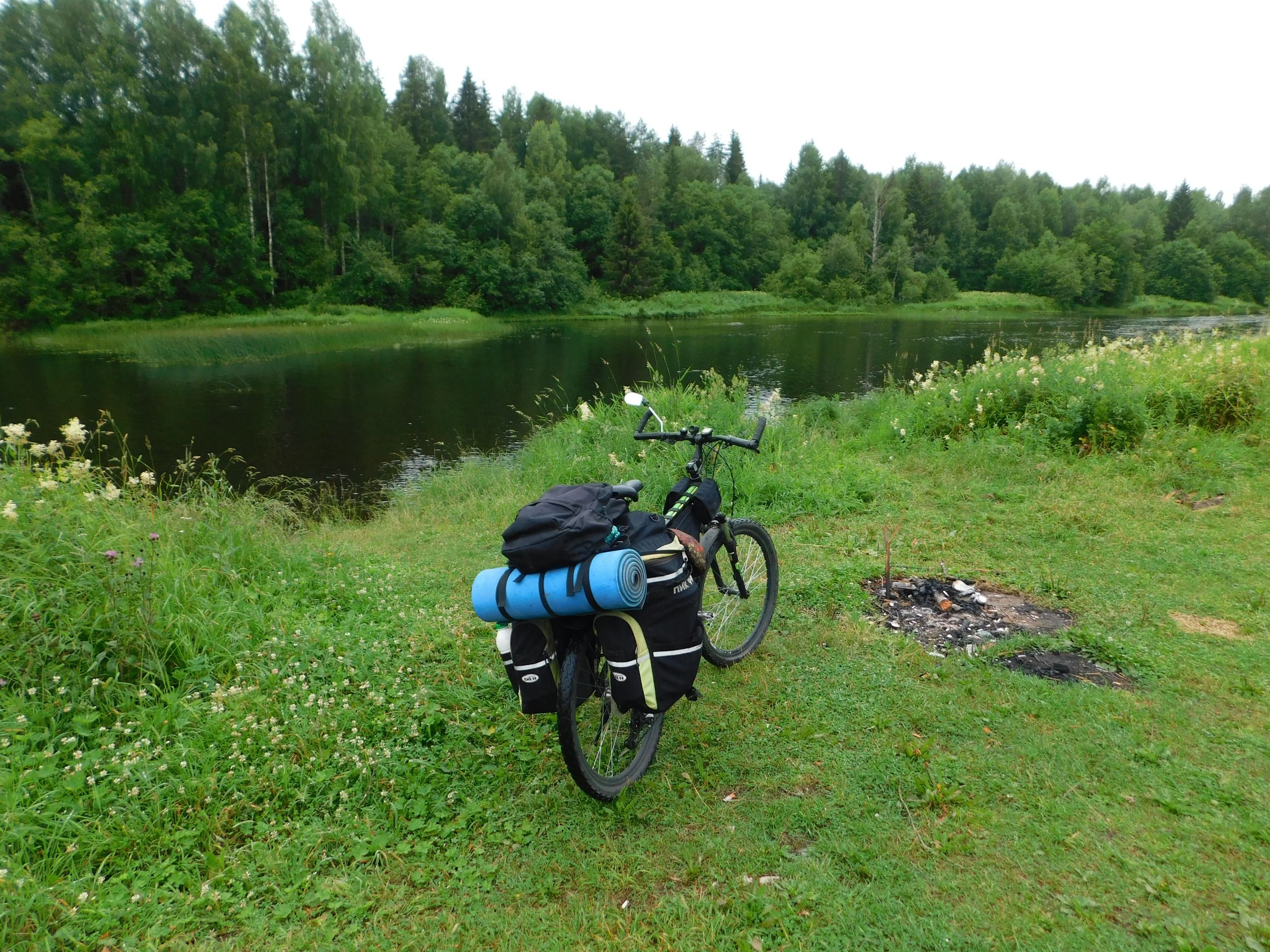 DSCN7401.JPG