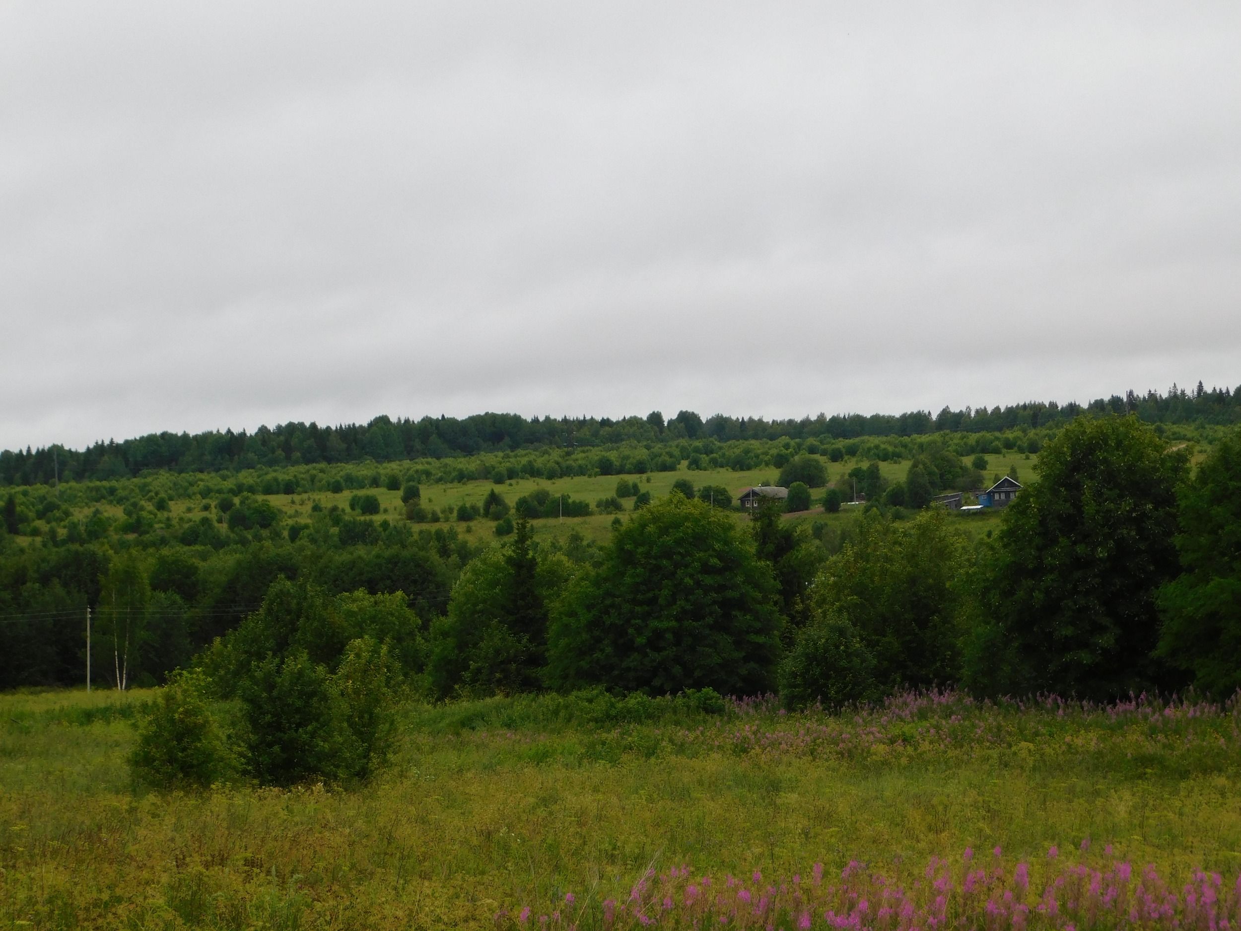 DSCN7404.JPG