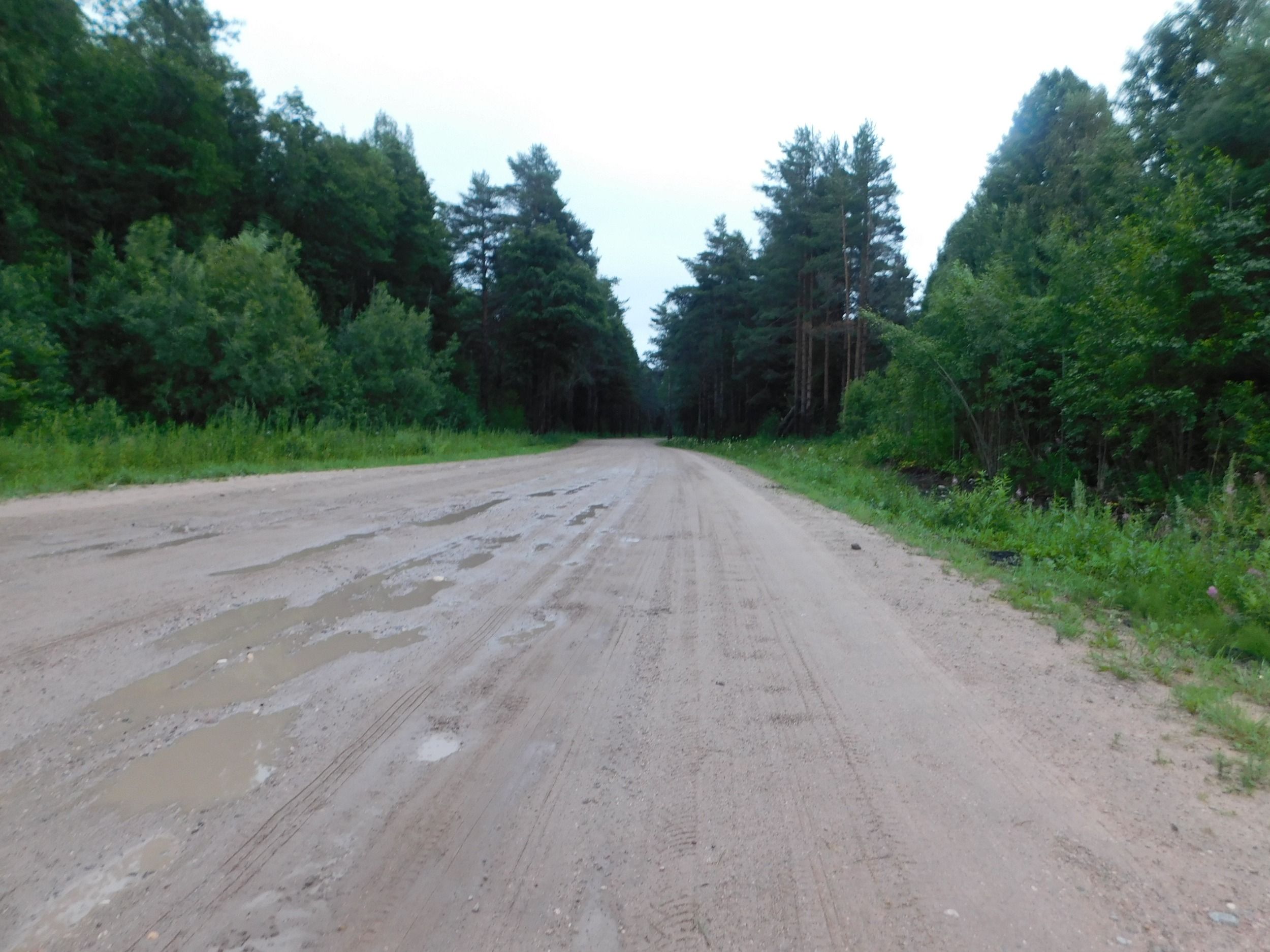 DSCN7413.JPG