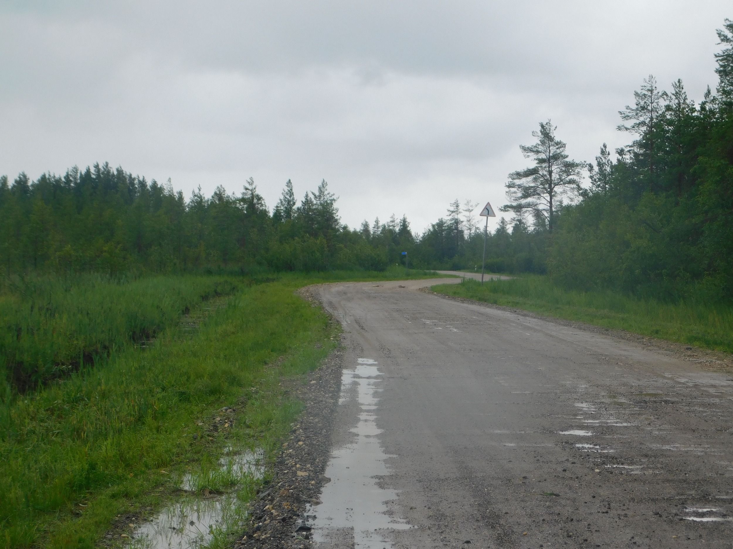 DSCN7431.jpg