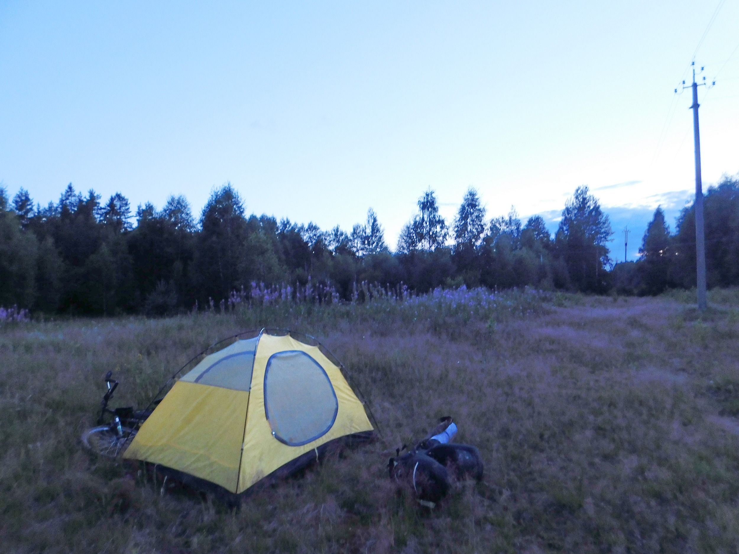 DSCN7516.jpg