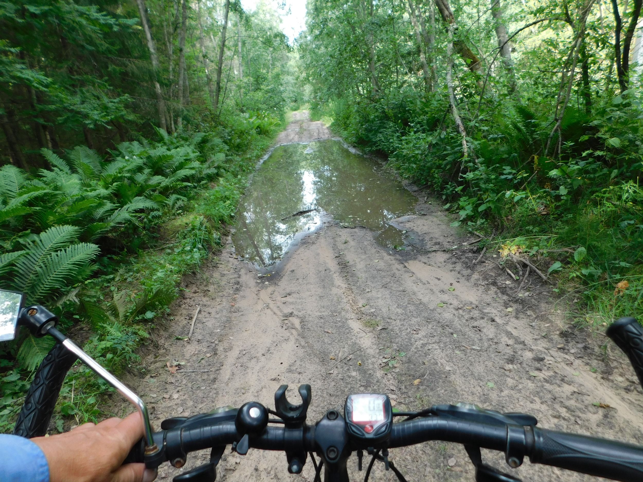 DSCN7519.JPG