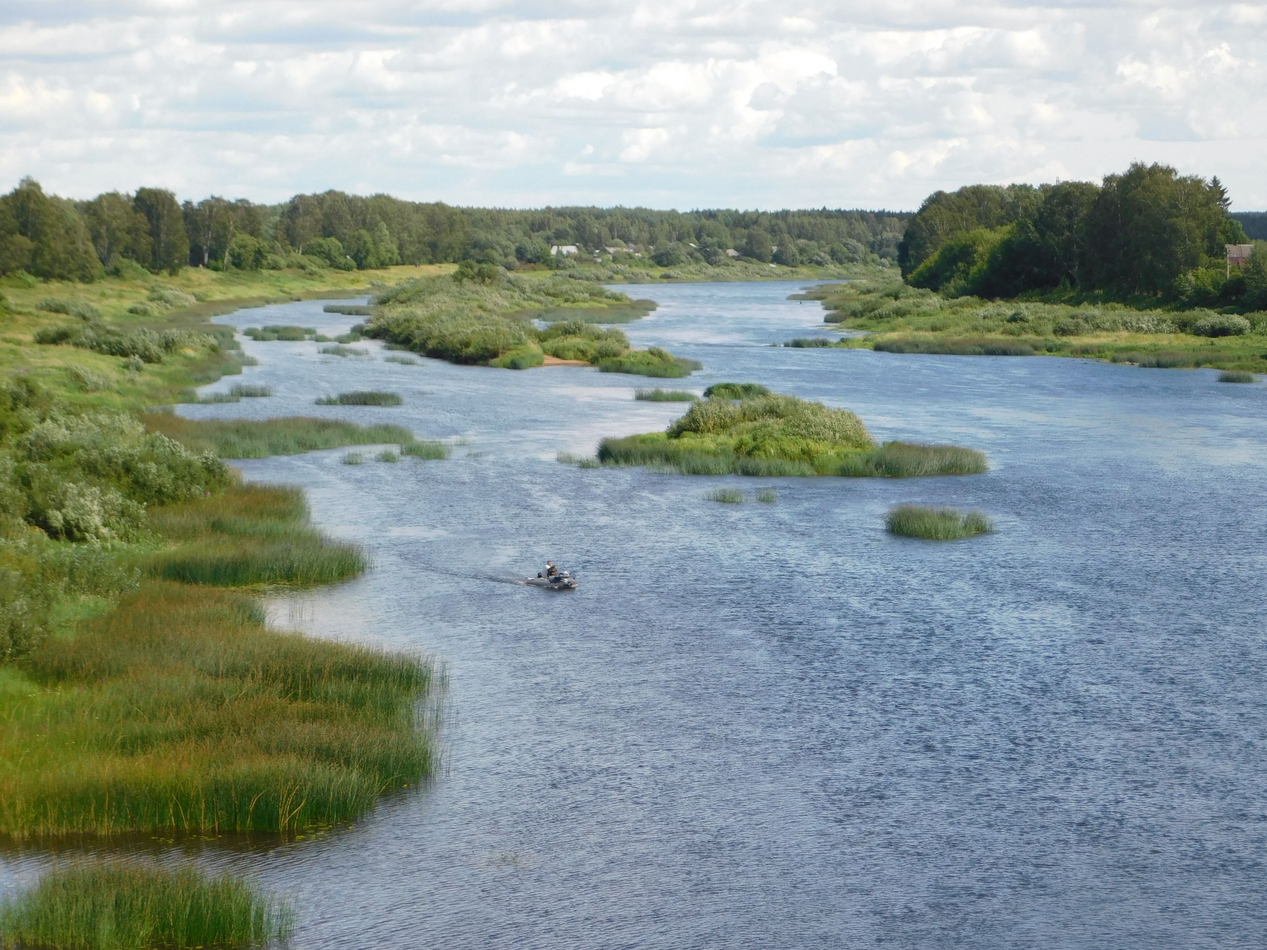 DSCN7535.JPG