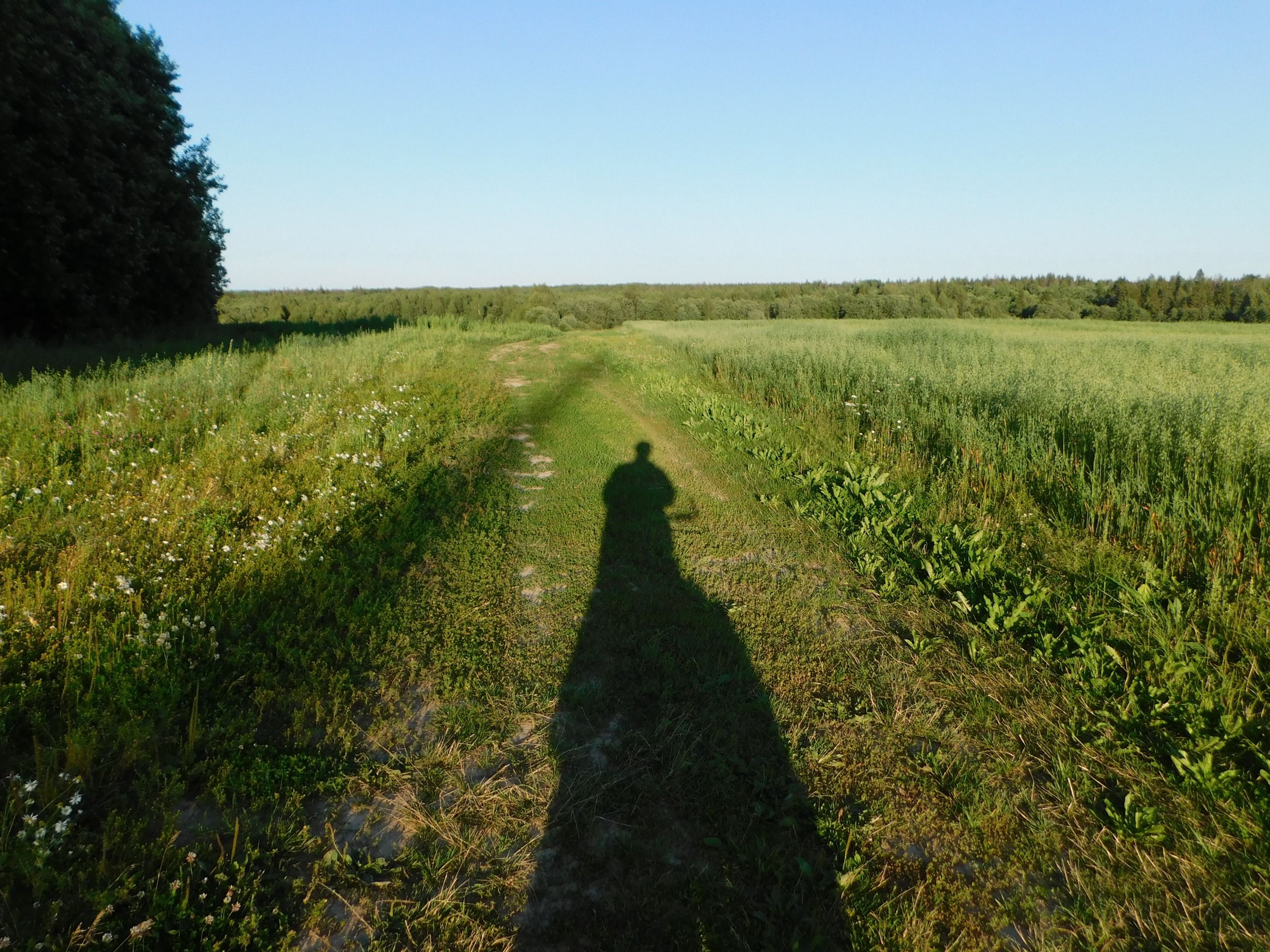 DSCN7560.jpg