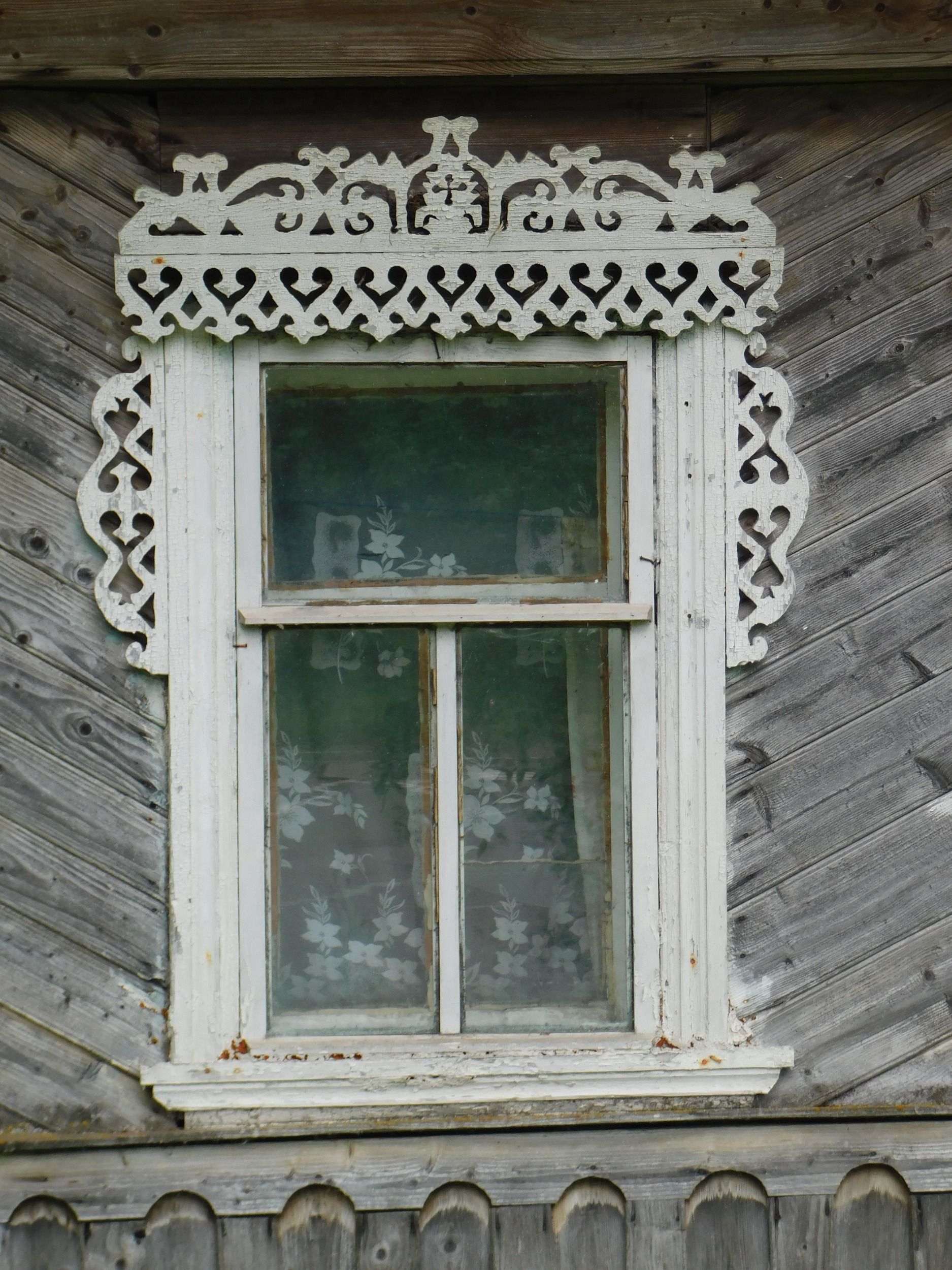 DSCN7572.jpg