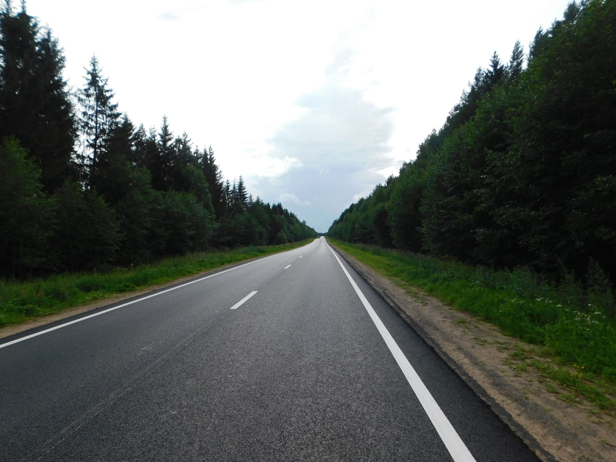 DSCN7593.JPG