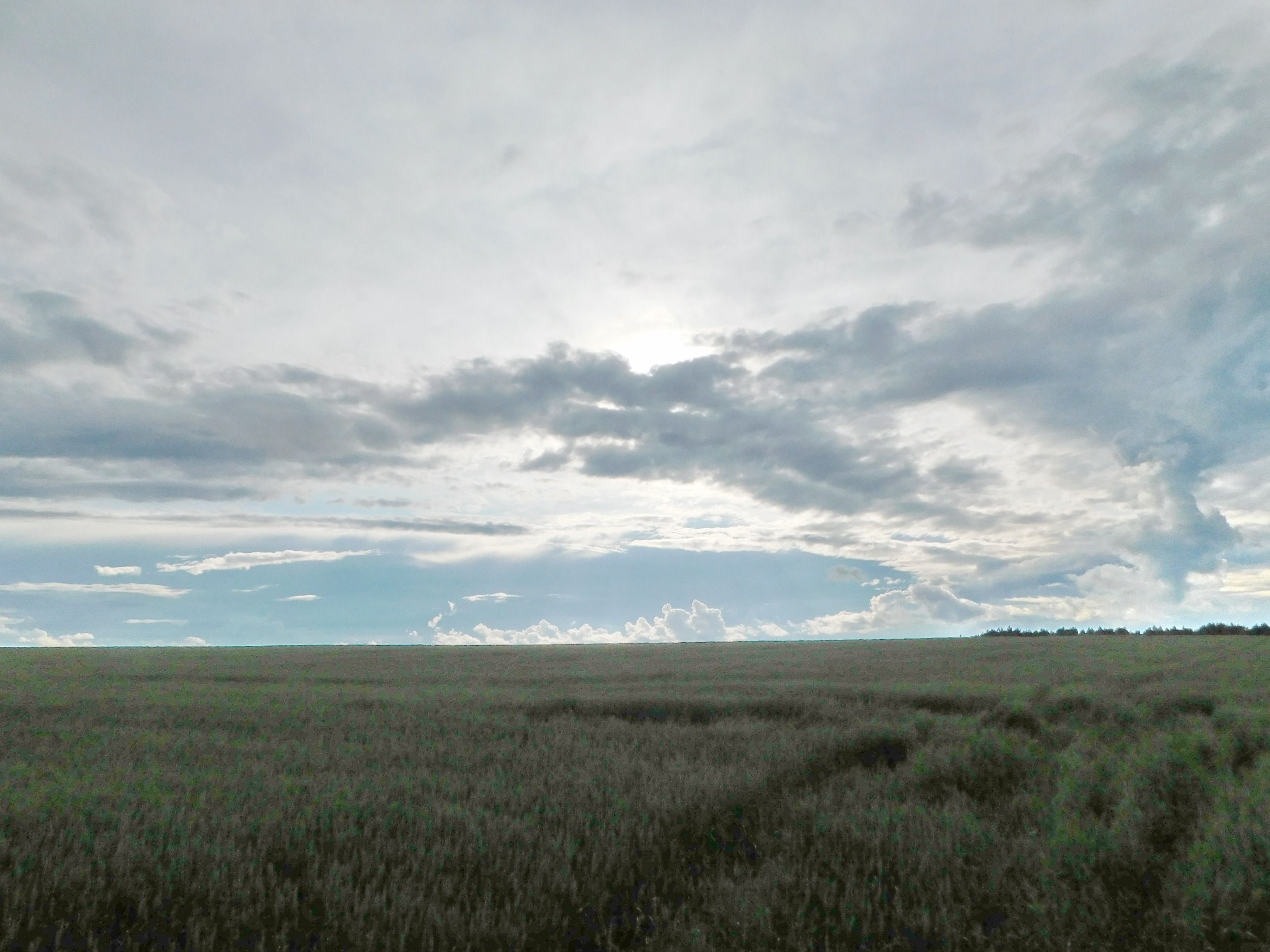 DSCN7596.jpg