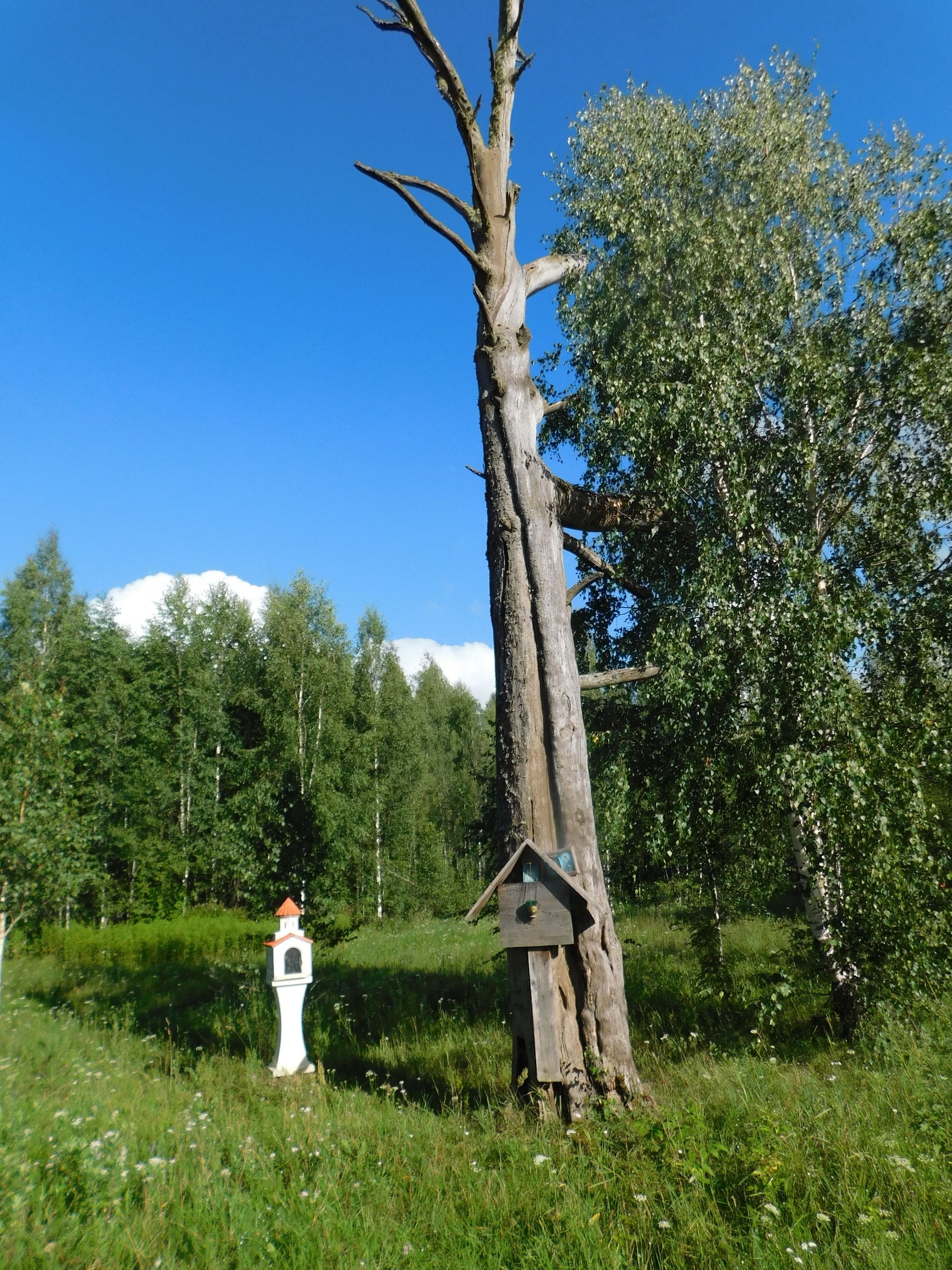 DSCN7661.jpg